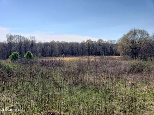 $2,541,000 | Hogfoot Road, Senatobia, MS 38668