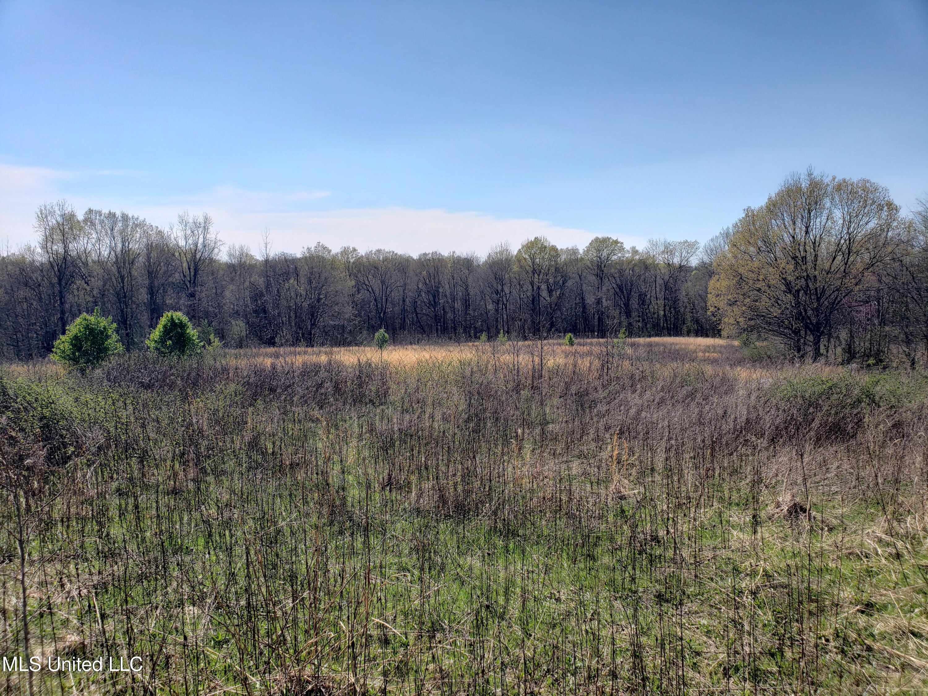 Hogfoot Road Senatobia, MS 38668 - Photo 55 of 145 20250326_150550