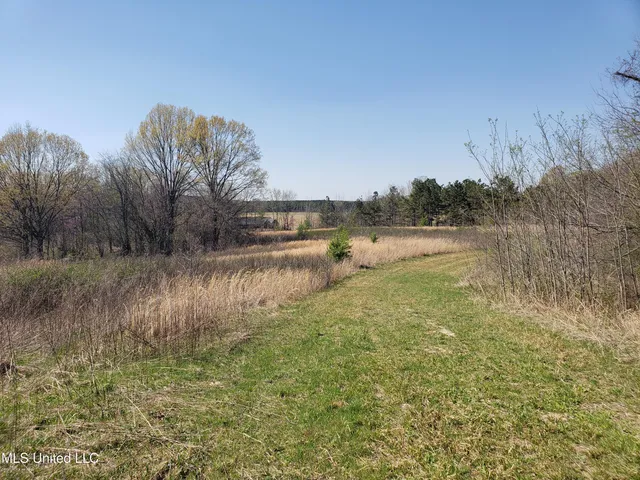 $2,541,000 | Hogfoot Road, Senatobia, MS 38668