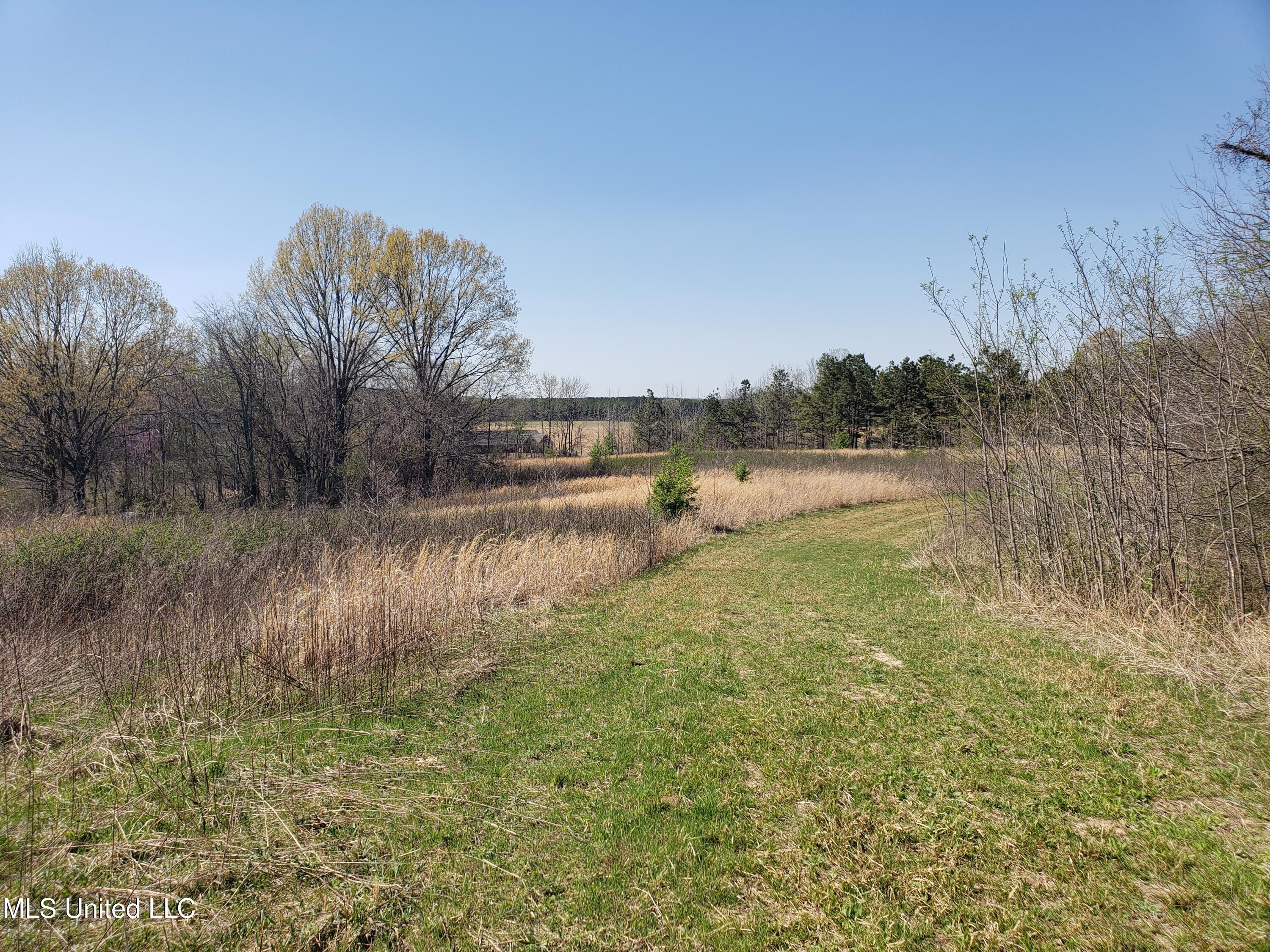 Hogfoot Road Senatobia, MS 38668 - Photo 56 of 145 20250326_150552