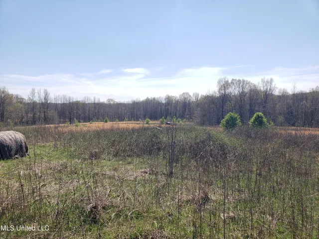 $2,541,000 | Hogfoot Road, Senatobia, MS 38668