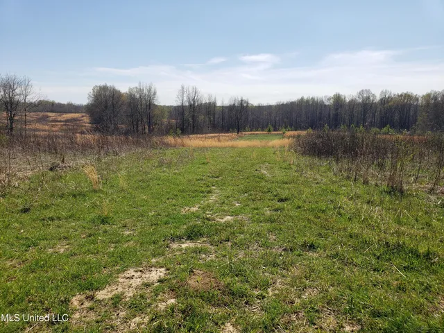 $2,541,000 | Hogfoot Road, Senatobia, MS 38668