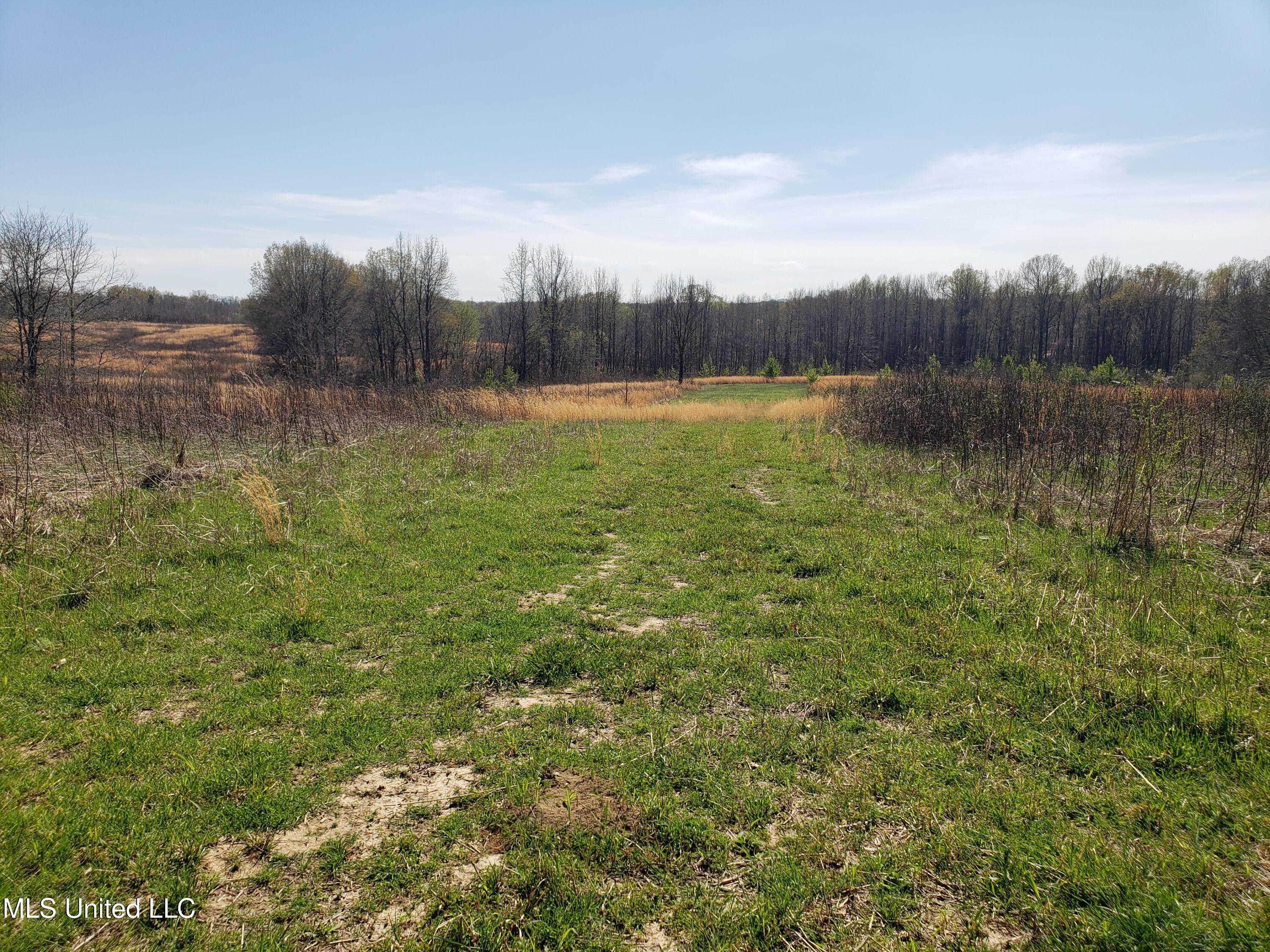 Hogfoot Road Senatobia, MS 38668 - Photo 58 of 145 20250326_150615