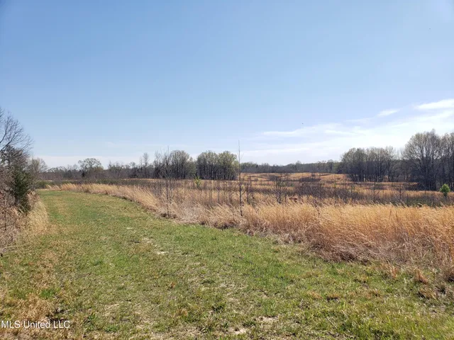$2,541,000 | Hogfoot Road, Senatobia, MS 38668