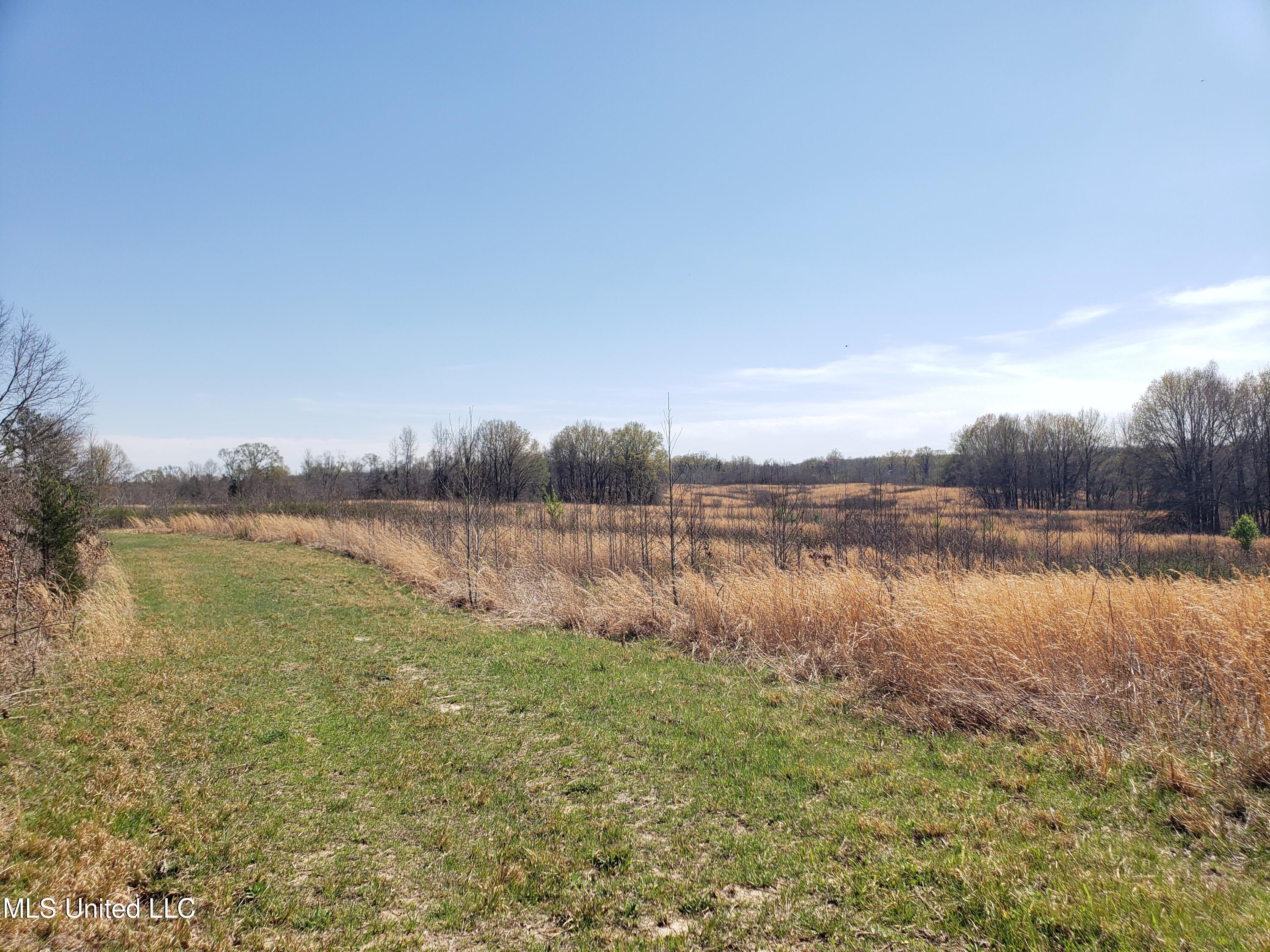 Hogfoot Road Senatobia, MS 38668 - Photo 59 of 145 20250326_150649