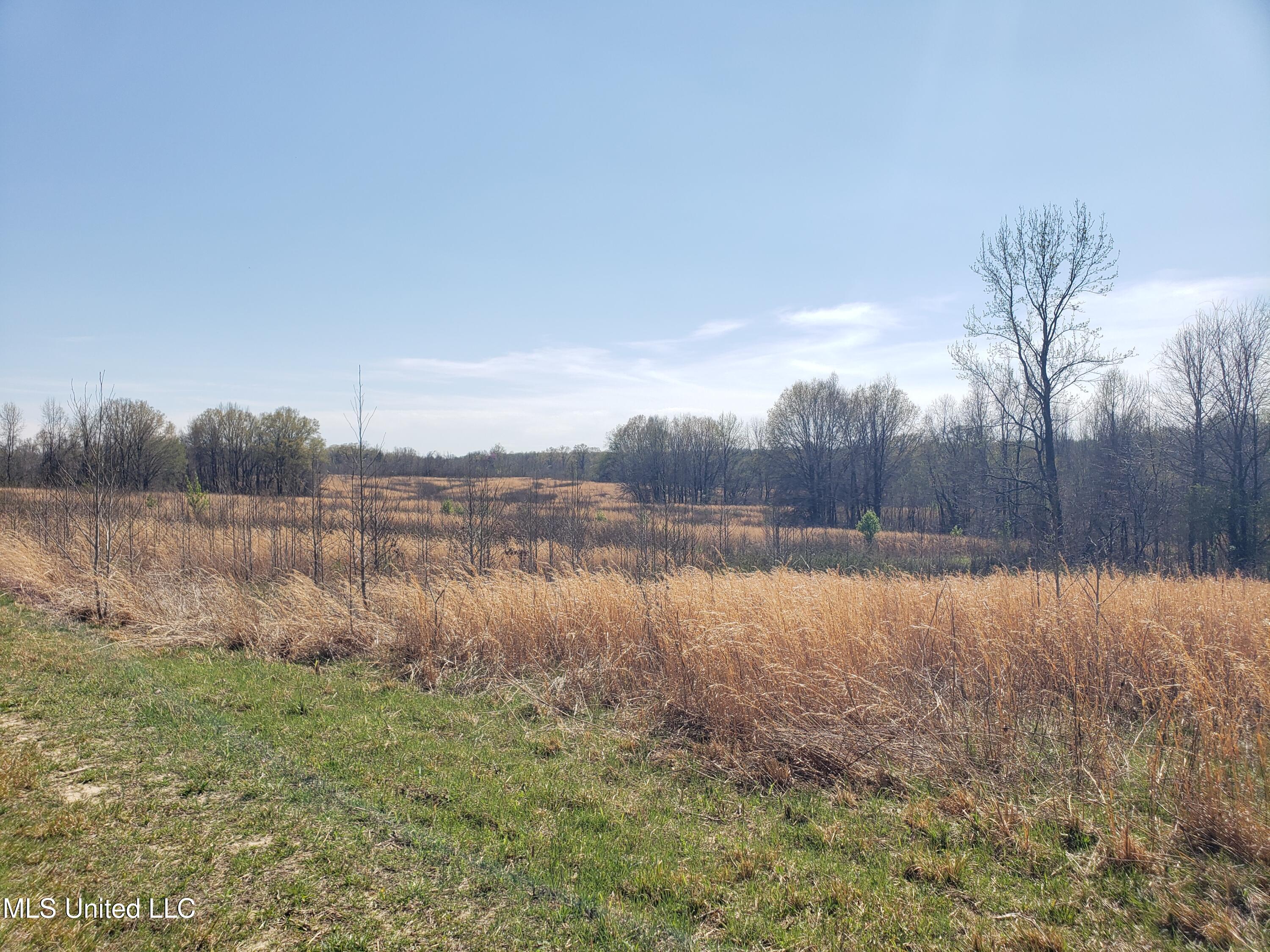 Hogfoot Road Senatobia, MS 38668 - Photo 60 of 145 20250326_150652