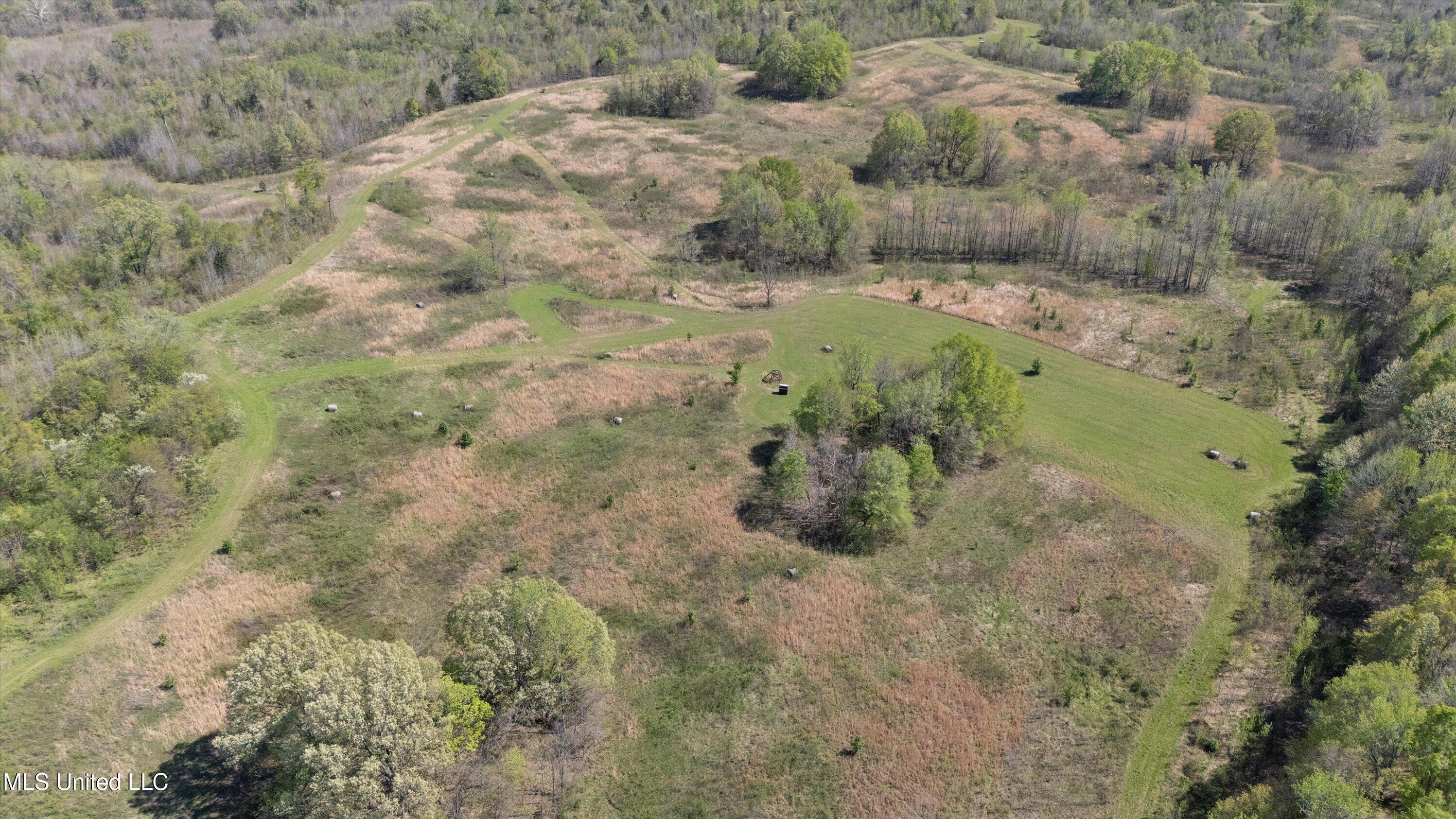 Hogfoot Road Senatobia, MS 38668 - Photo 6 of 145 06-DJI_20250407150647_0080_D