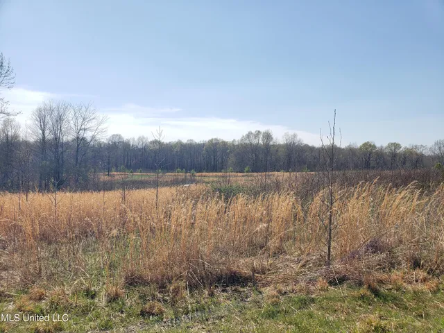 $2,541,000 | Hogfoot Road, Senatobia, MS 38668