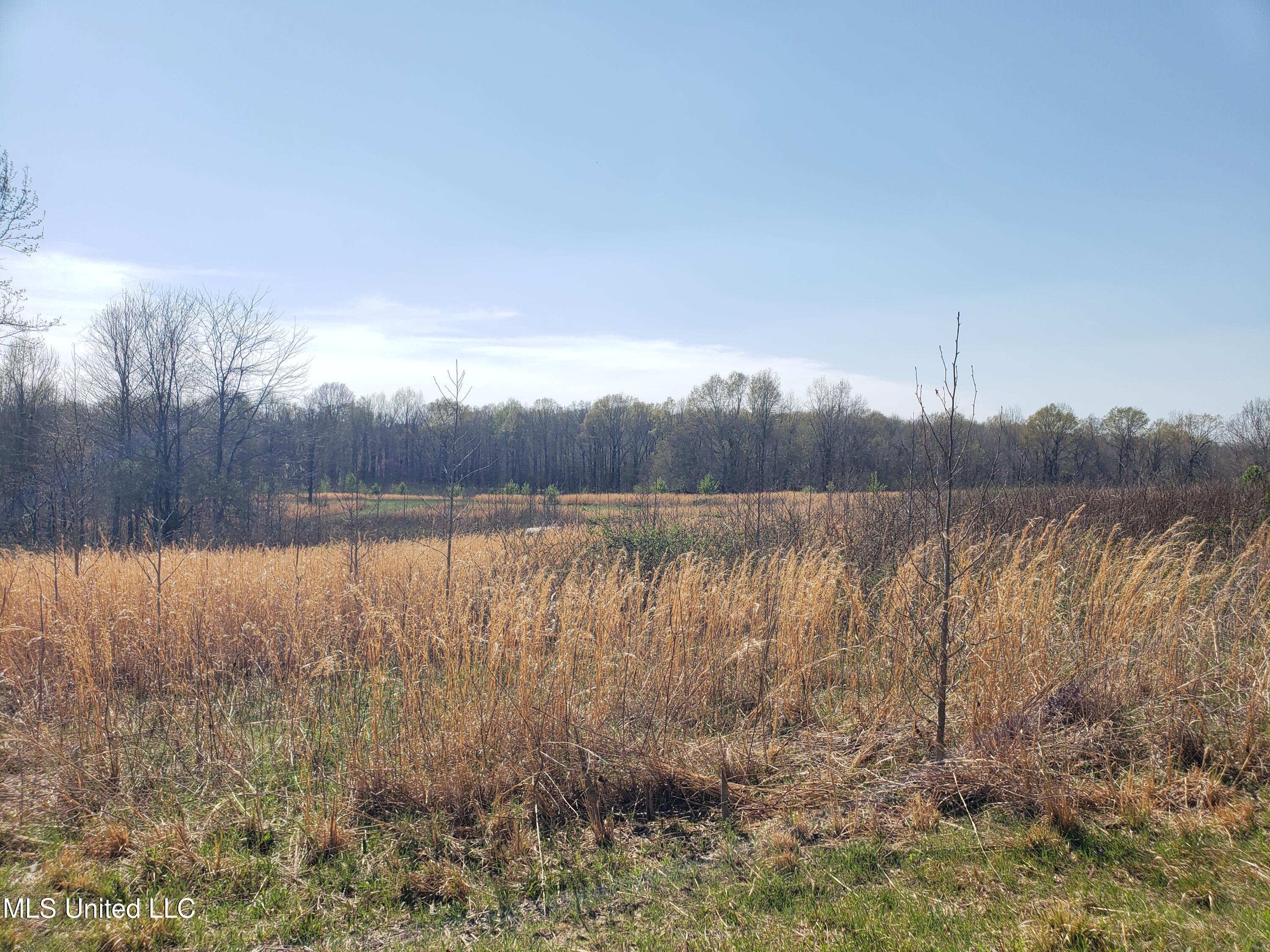 Hogfoot Road Senatobia, MS 38668 - Photo 61 of 145 20250326_150654