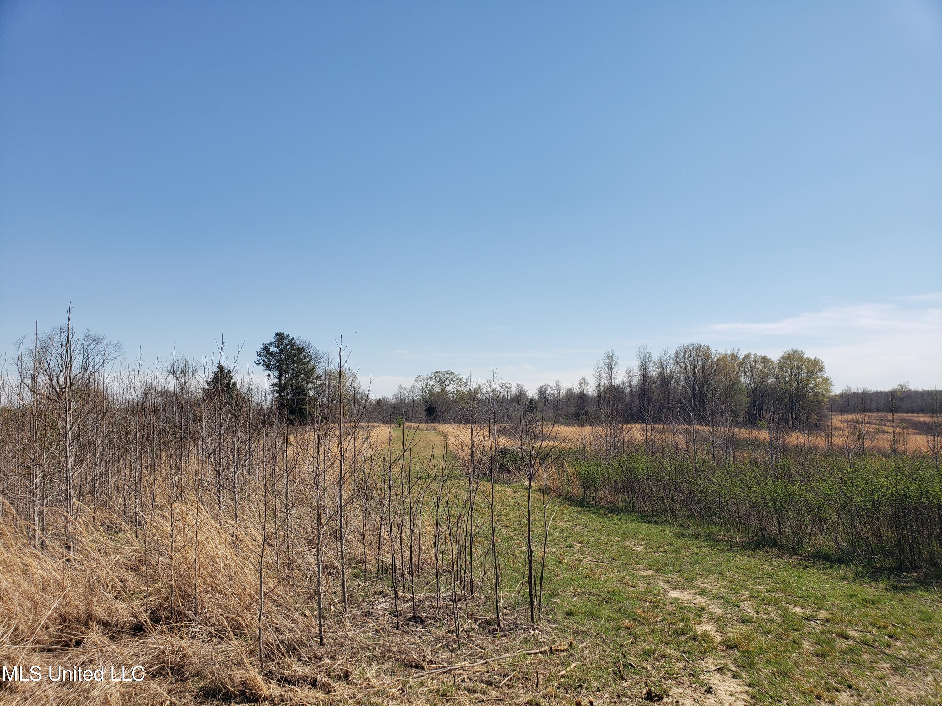 Hogfoot Road Senatobia, MS 38668 - Photo 62 of 145 20250326_150823