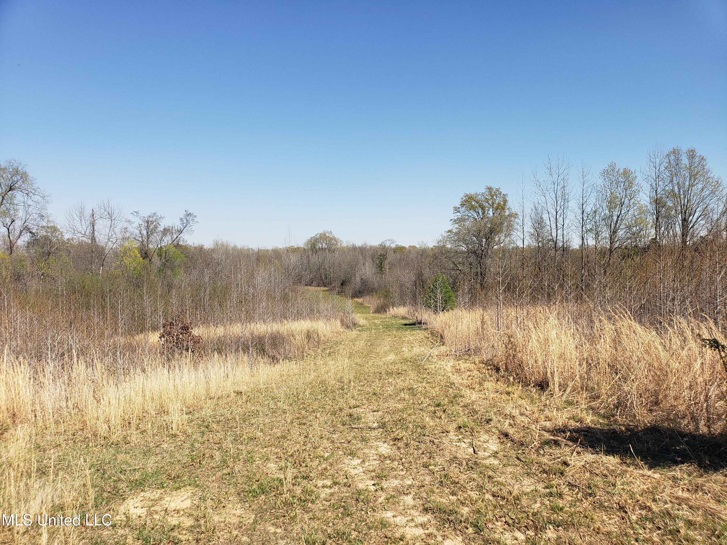 Hogfoot Road Senatobia, MS 38668 - Photo 63 of 145 20250326_150826