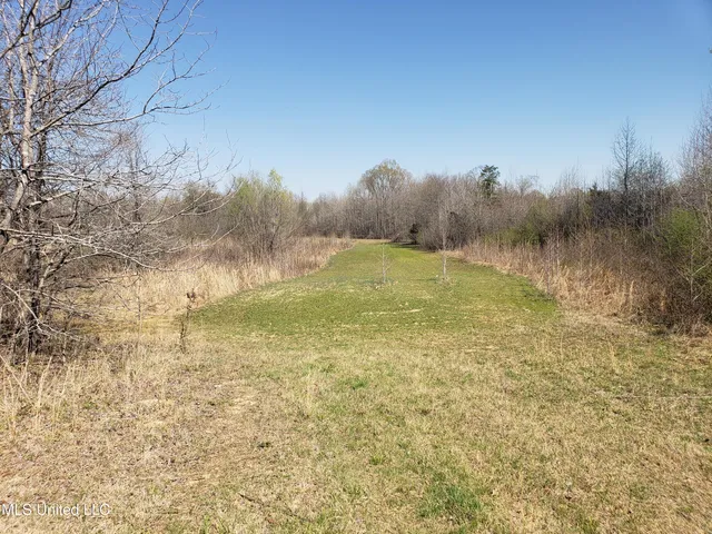 $2,541,000 | Hogfoot Road, Senatobia, MS 38668