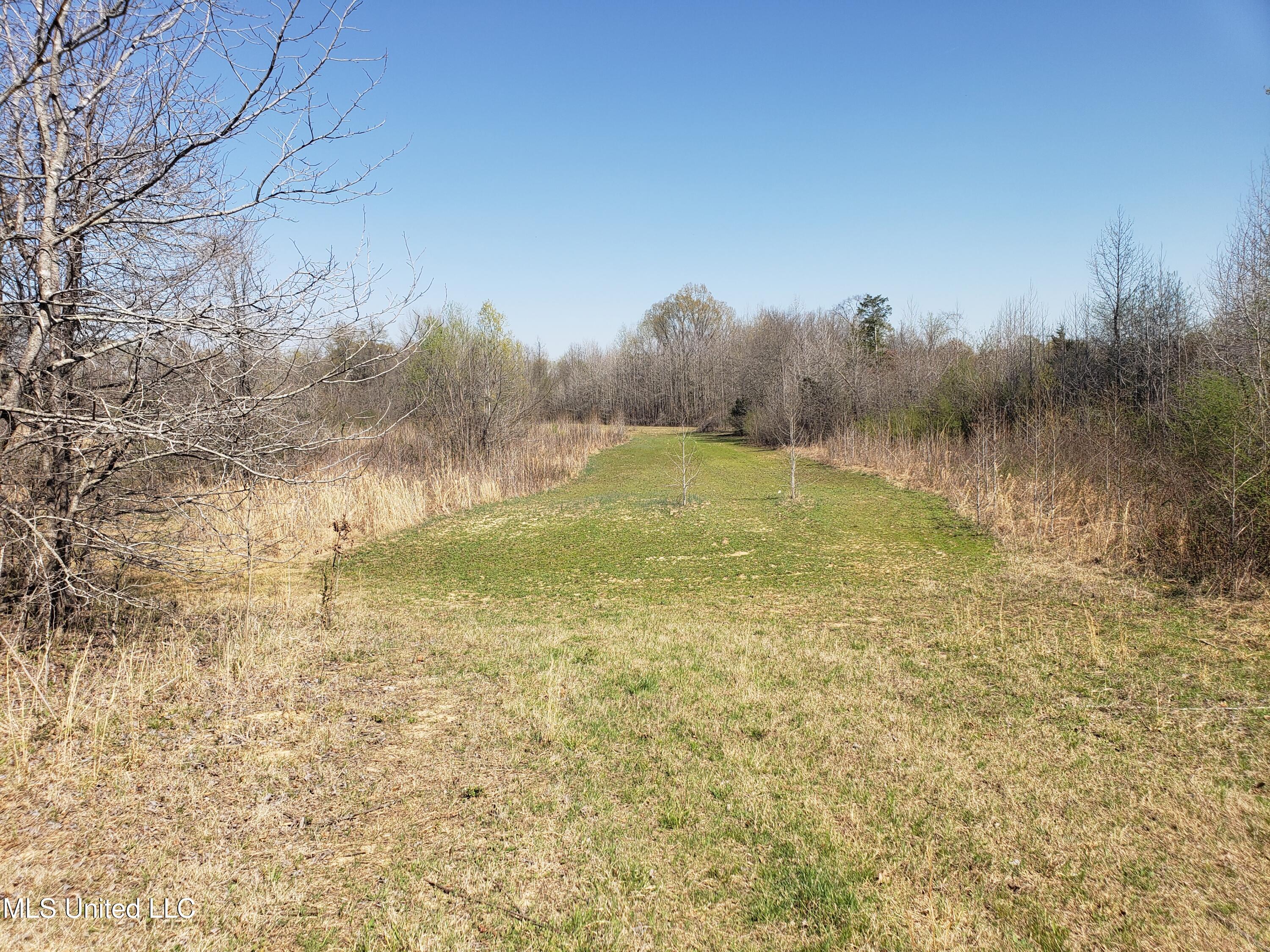 Hogfoot Road Senatobia, MS 38668 - Photo 64 of 145 20250326_150904