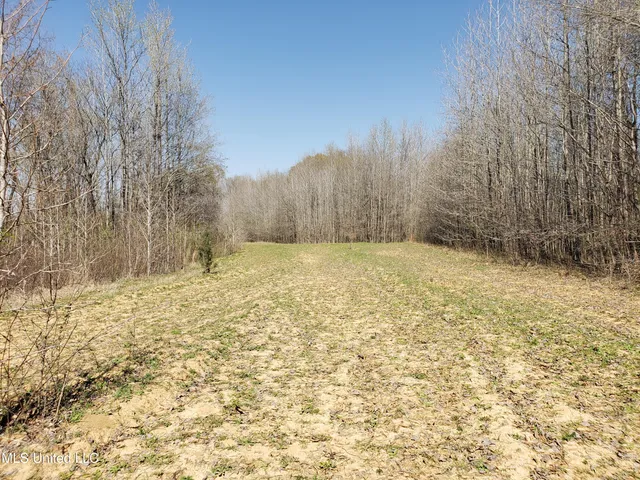 $2,541,000 | Hogfoot Road, Senatobia, MS 38668