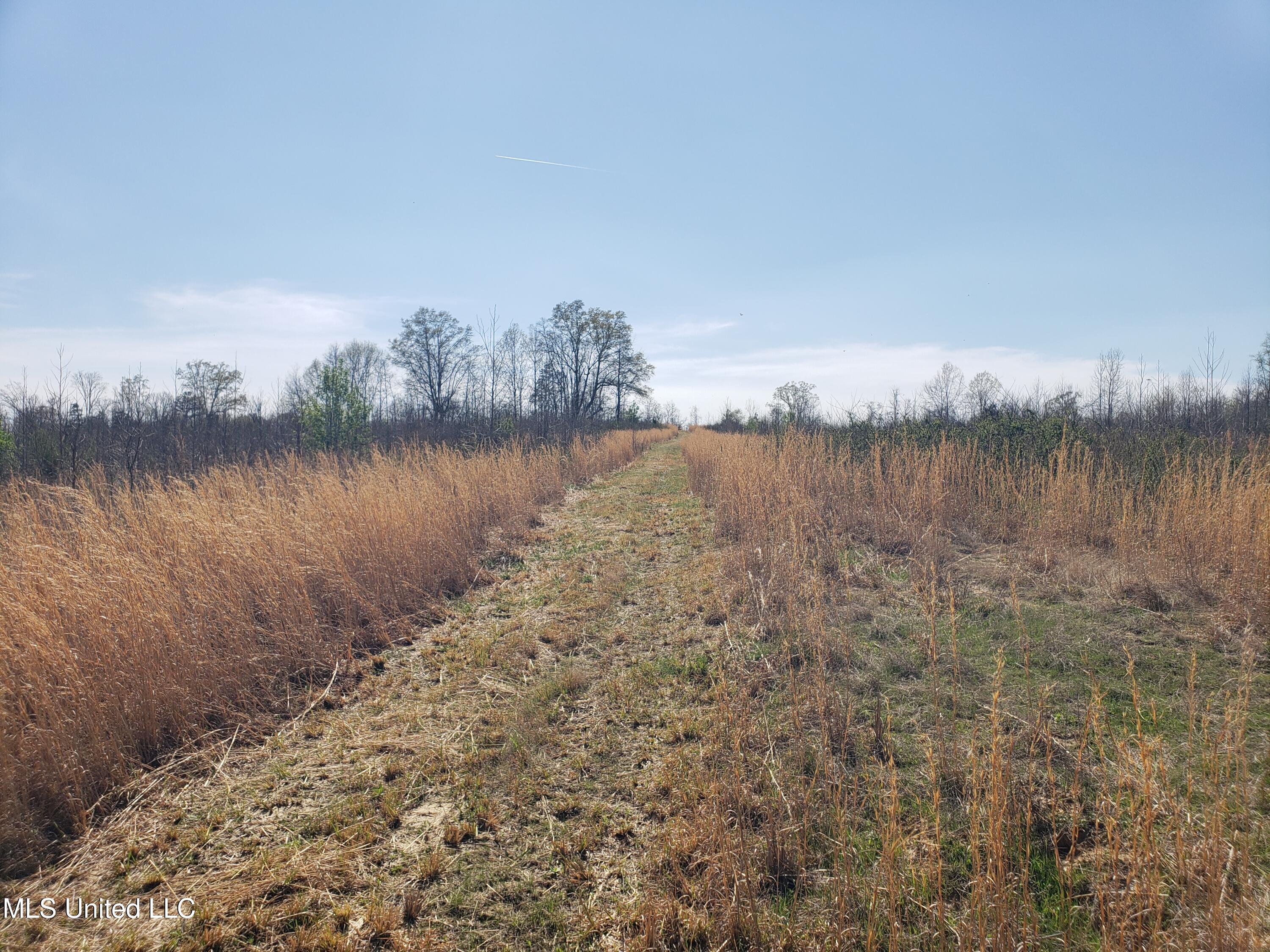 Hogfoot Road Senatobia, MS 38668 - Photo 66 of 145 20250326_151127