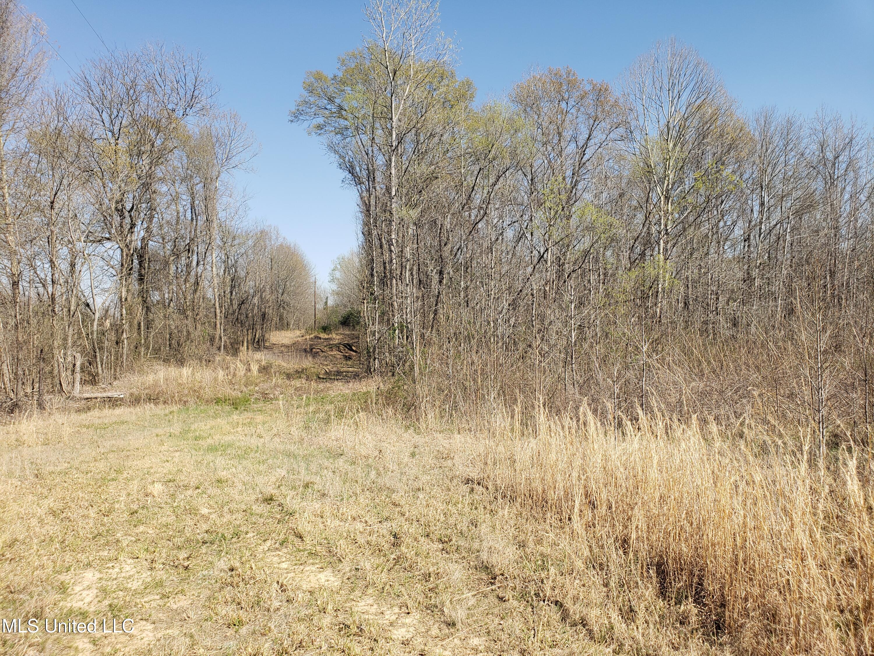 Hogfoot Road Senatobia, MS 38668 - Photo 67 of 145 20250326_151131