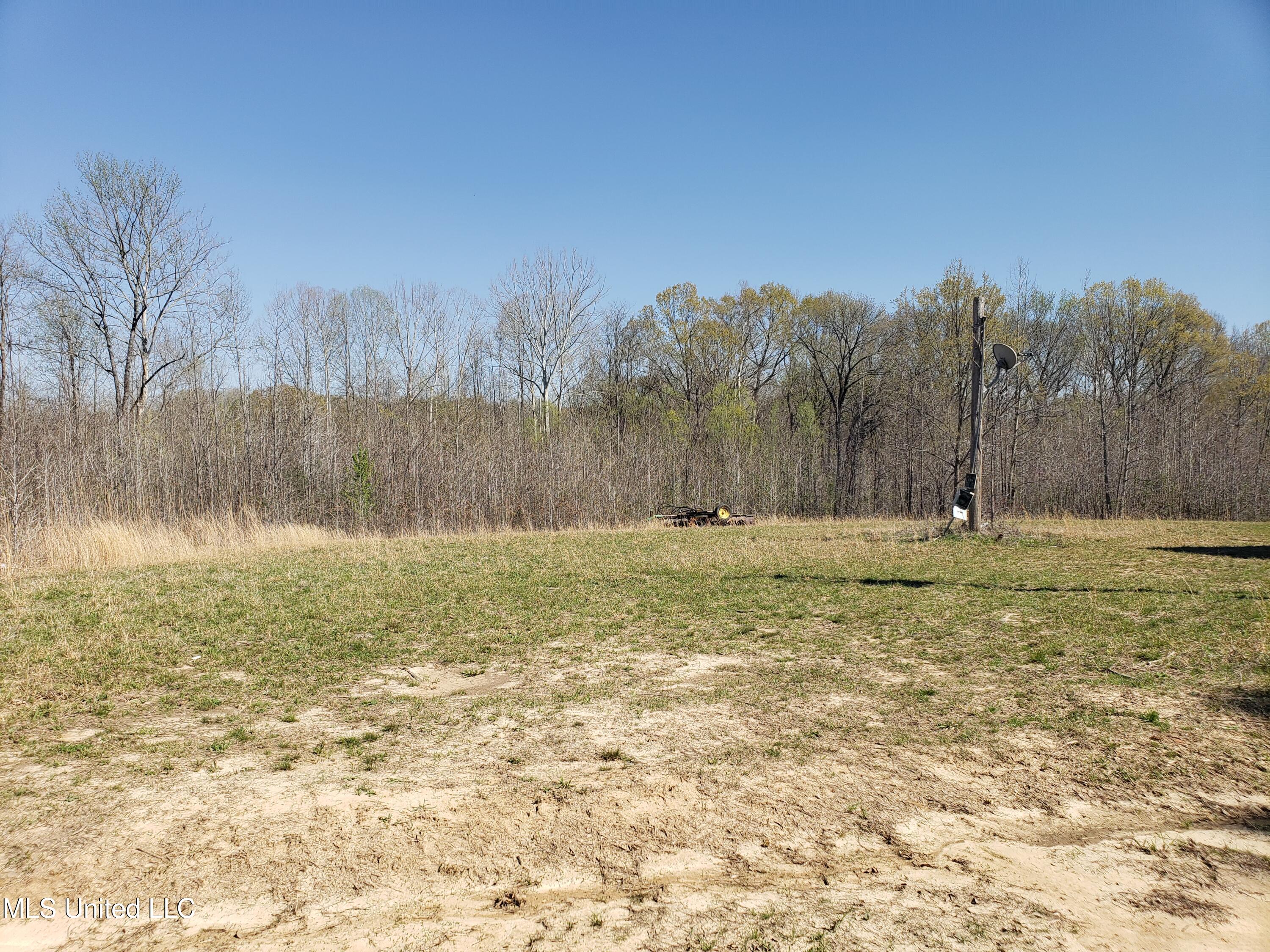 Hogfoot Road Senatobia, MS 38668 - Photo 69 of 145 20250326_151327