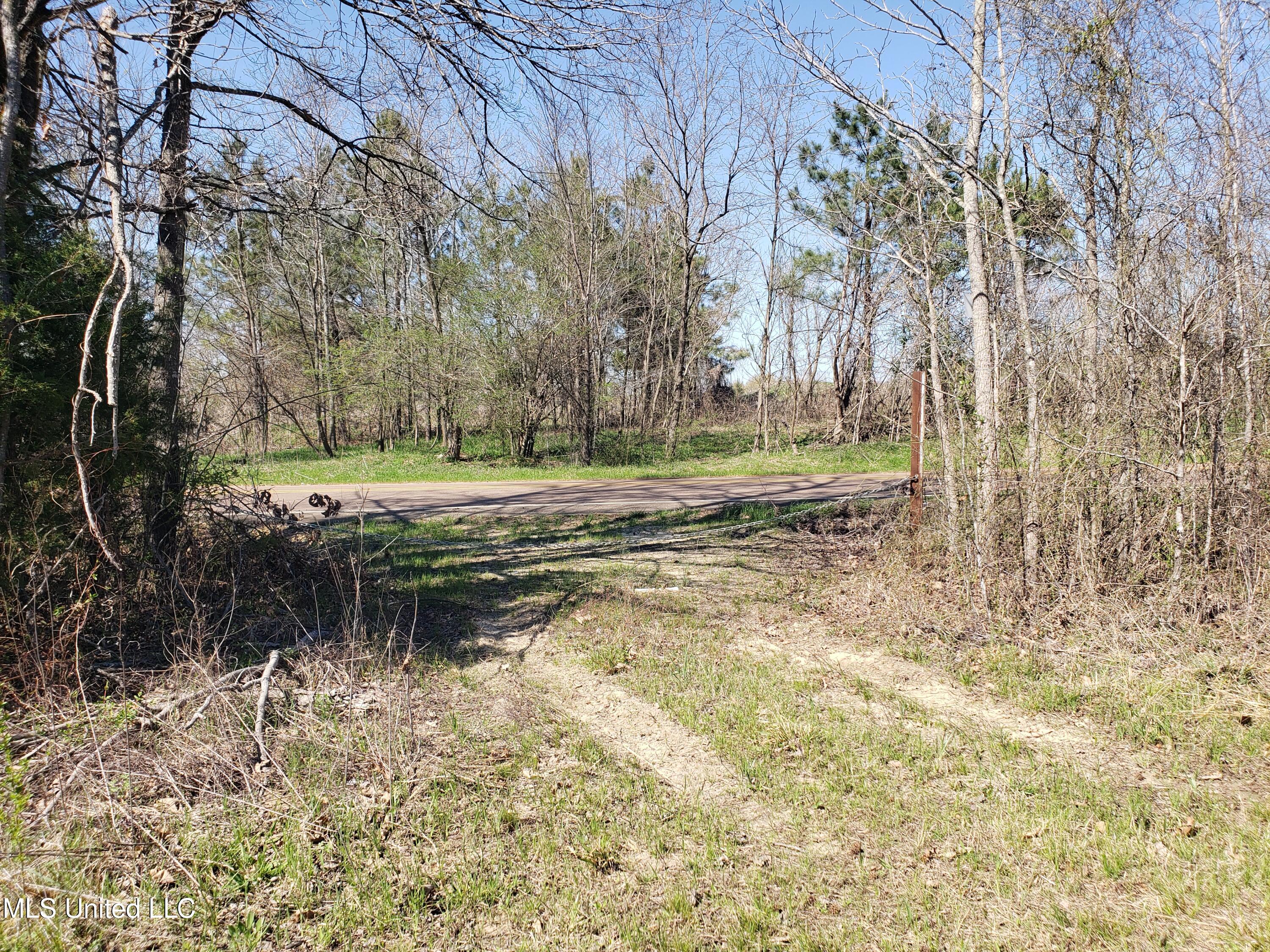 Hogfoot Road Senatobia, MS 38668 - Photo 70 of 145 20250326_152420