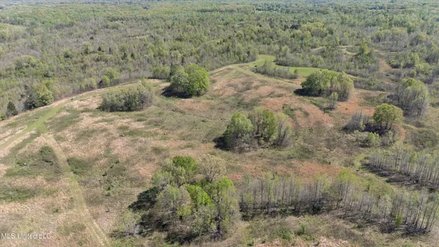 $2,541,000 | Hogfoot Road, Senatobia, MS 38668