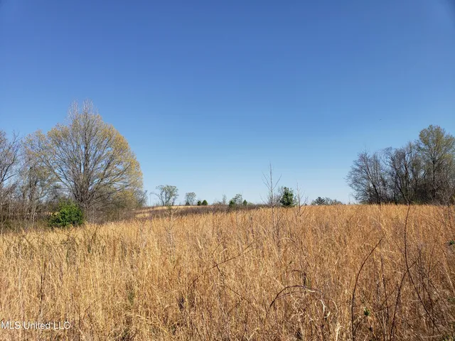 $2,541,000 | Hogfoot Road, Senatobia, MS 38668