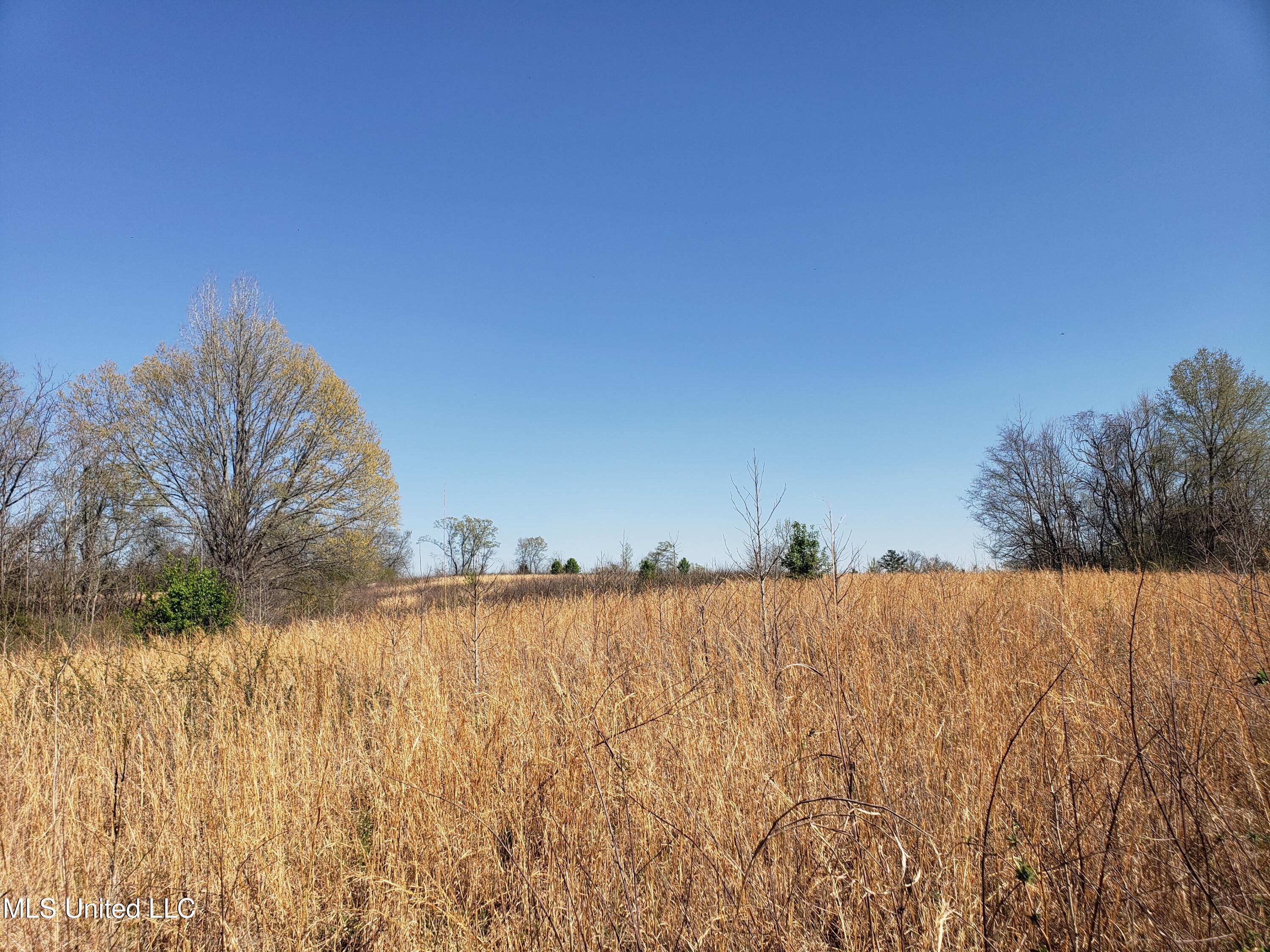 Hogfoot Road Senatobia, MS 38668 - Photo 72 of 145 20250326_152749
