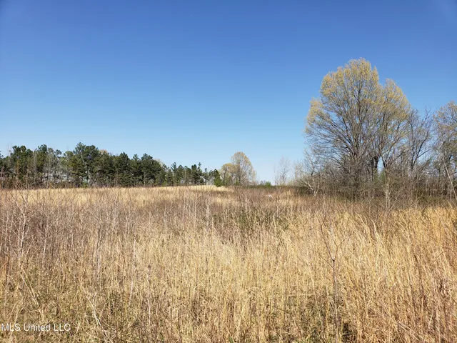 $2,541,000 | Hogfoot Road, Senatobia, MS 38668