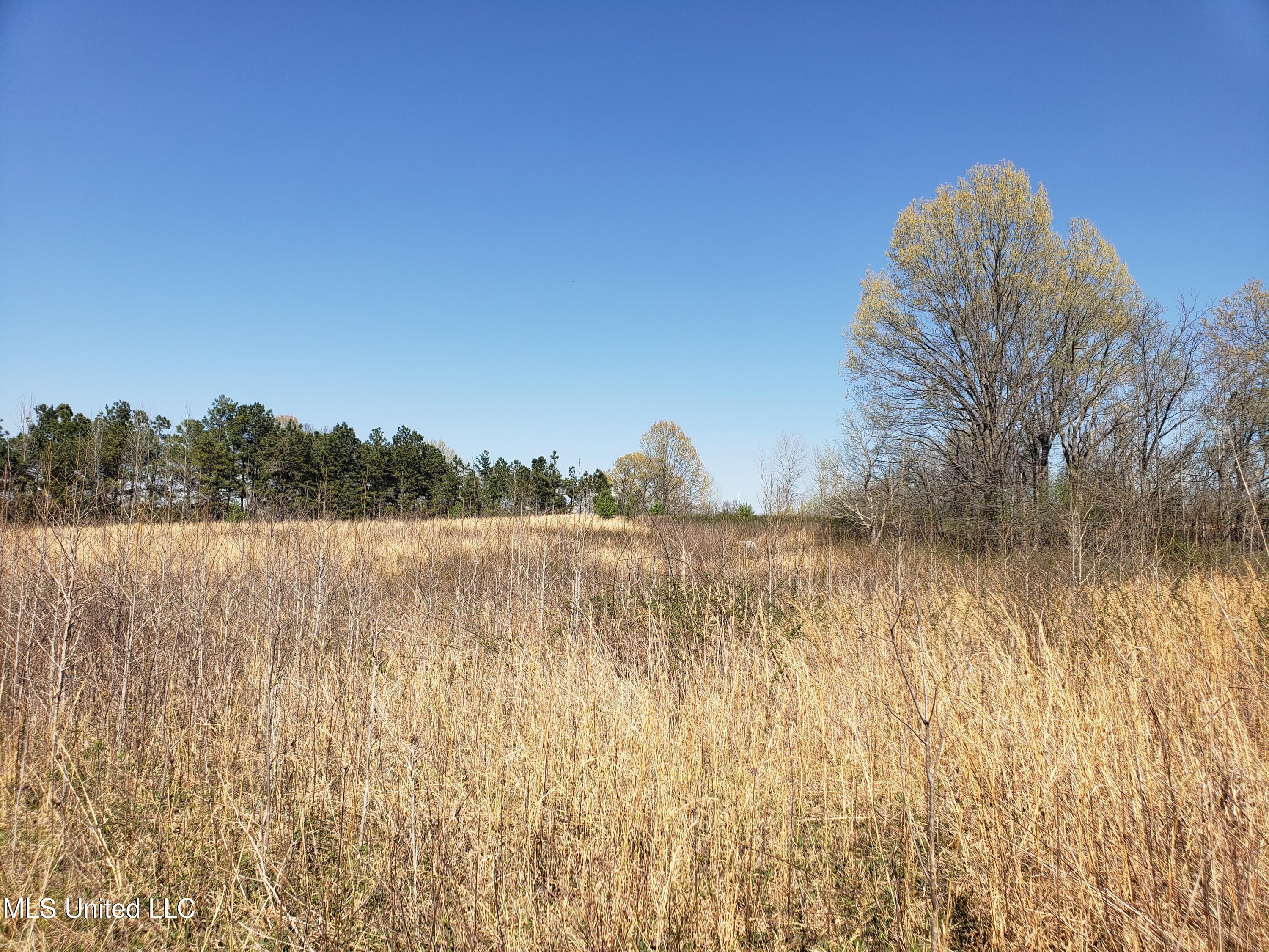 Hogfoot Road Senatobia, MS 38668 - Photo 73 of 145 20250326_152752
