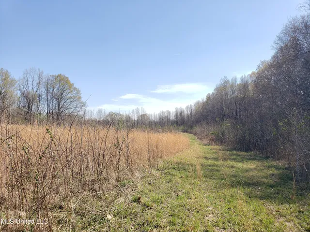 $2,541,000 | Hogfoot Road, Senatobia, MS 38668