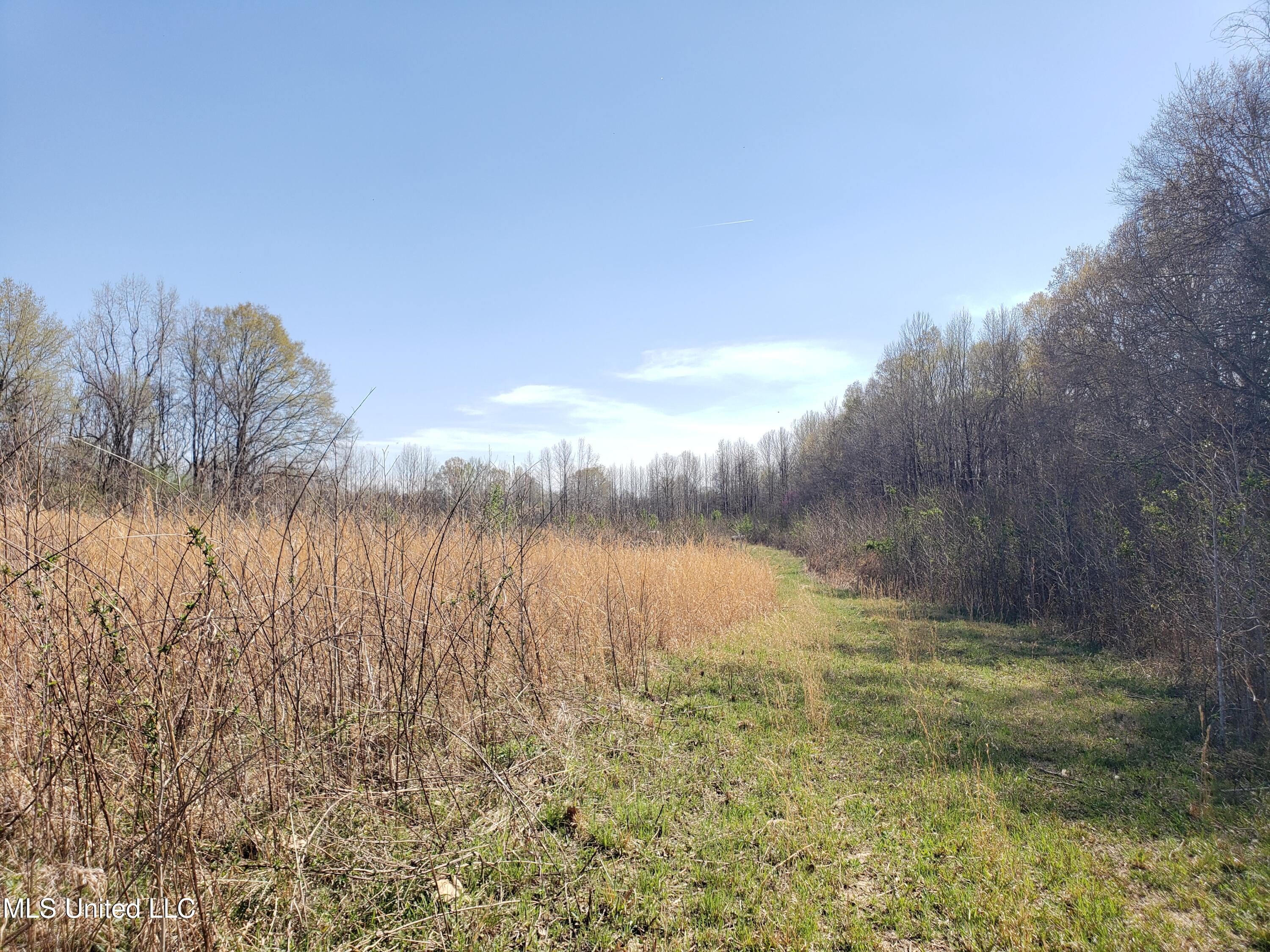 Hogfoot Road Senatobia, MS 38668 - Photo 74 of 145 20250326_152756