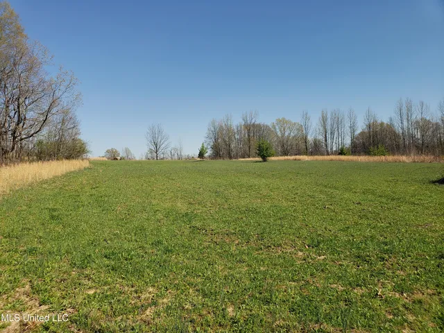 $2,541,000 | Hogfoot Road, Senatobia, MS 38668