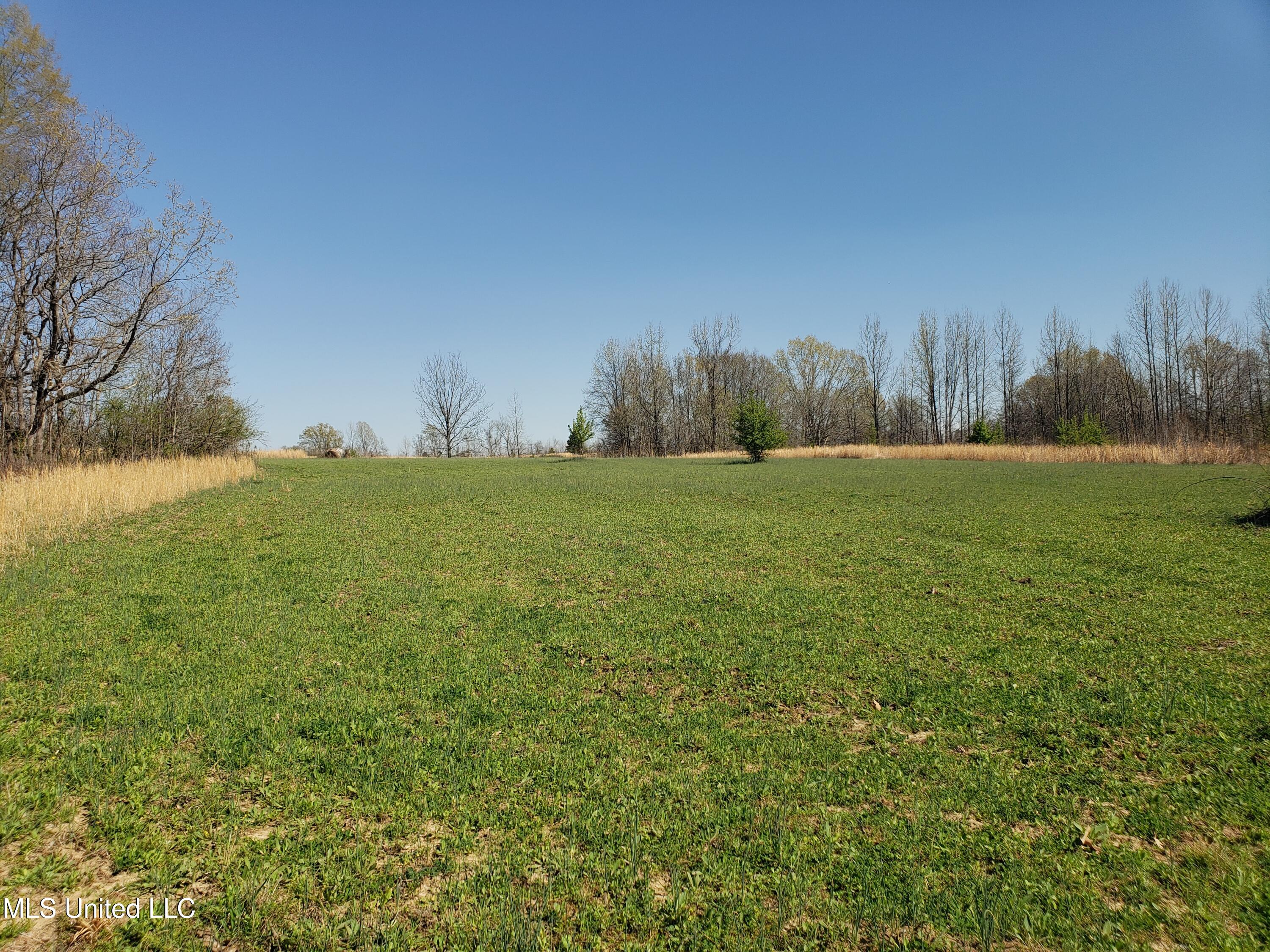 Hogfoot Road Senatobia, MS 38668 - Photo 75 of 145 20250326_152836