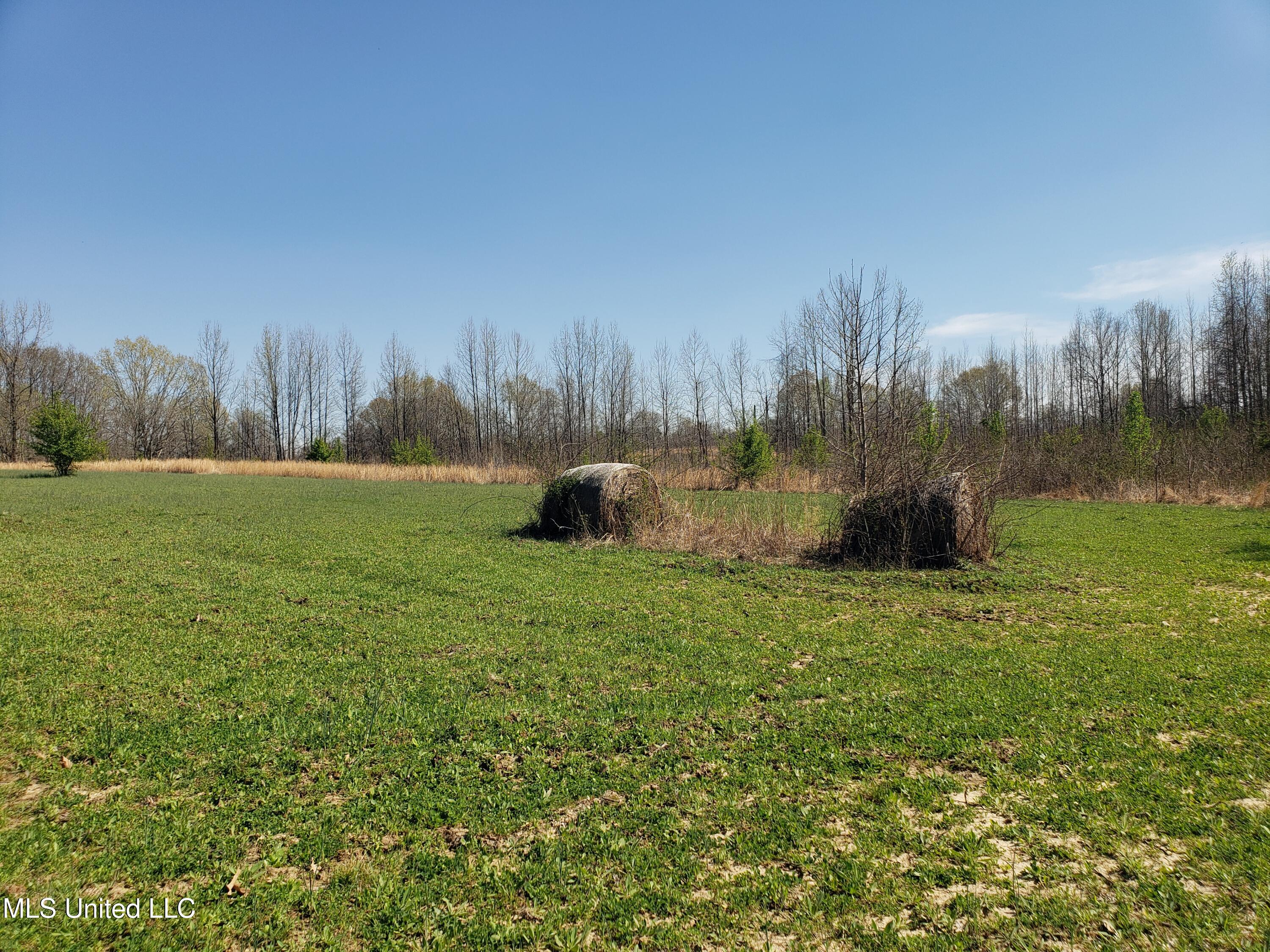 Hogfoot Road Senatobia, MS 38668 - Photo 76 of 145 20250326_152838