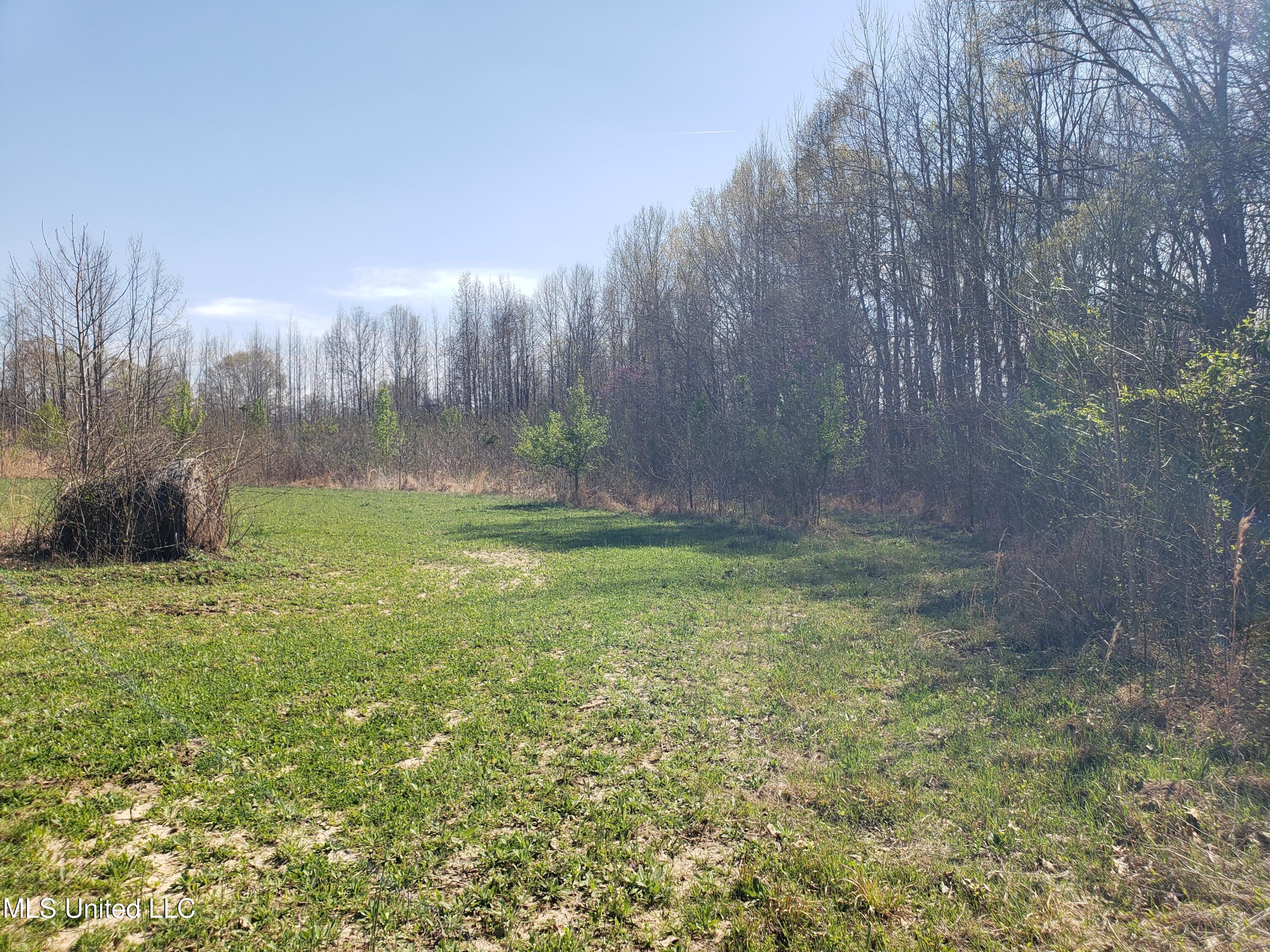 Hogfoot Road Senatobia, MS 38668 - Photo 77 of 145 20250326_152842