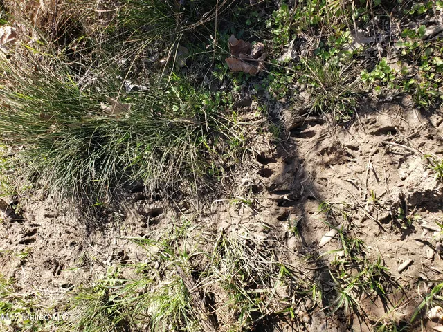 $2,541,000 | Hogfoot Road, Senatobia, MS 38668