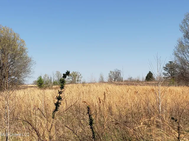 $2,541,000 | Hogfoot Road, Senatobia, MS 38668