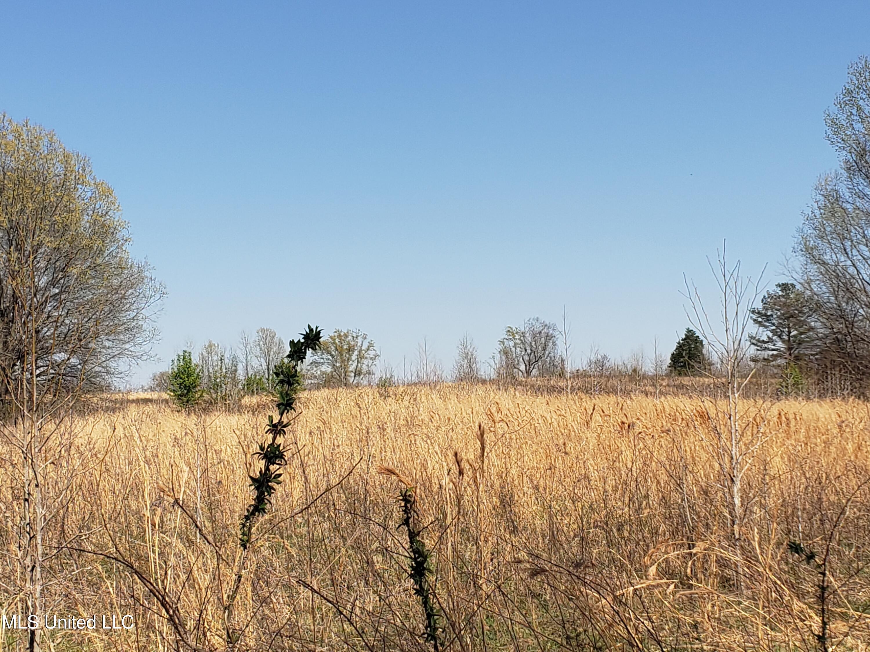 Hogfoot Road Senatobia, MS 38668 - Photo 80 of 145 20250326_153028