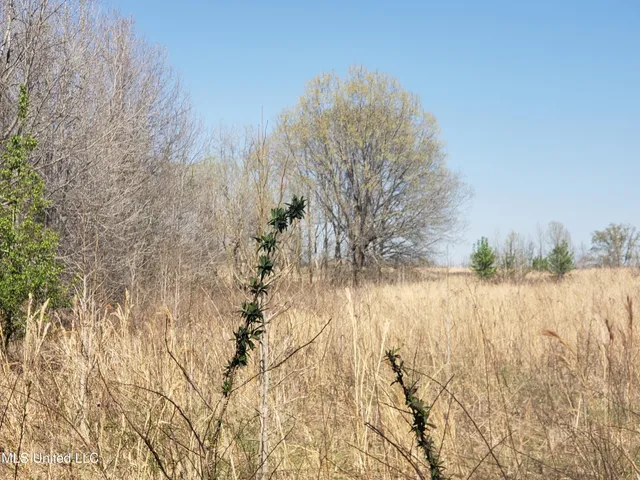 $2,541,000 | Hogfoot Road, Senatobia, MS 38668