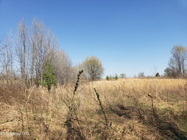 $2,541,000 | Hogfoot Road, Senatobia, MS 38668