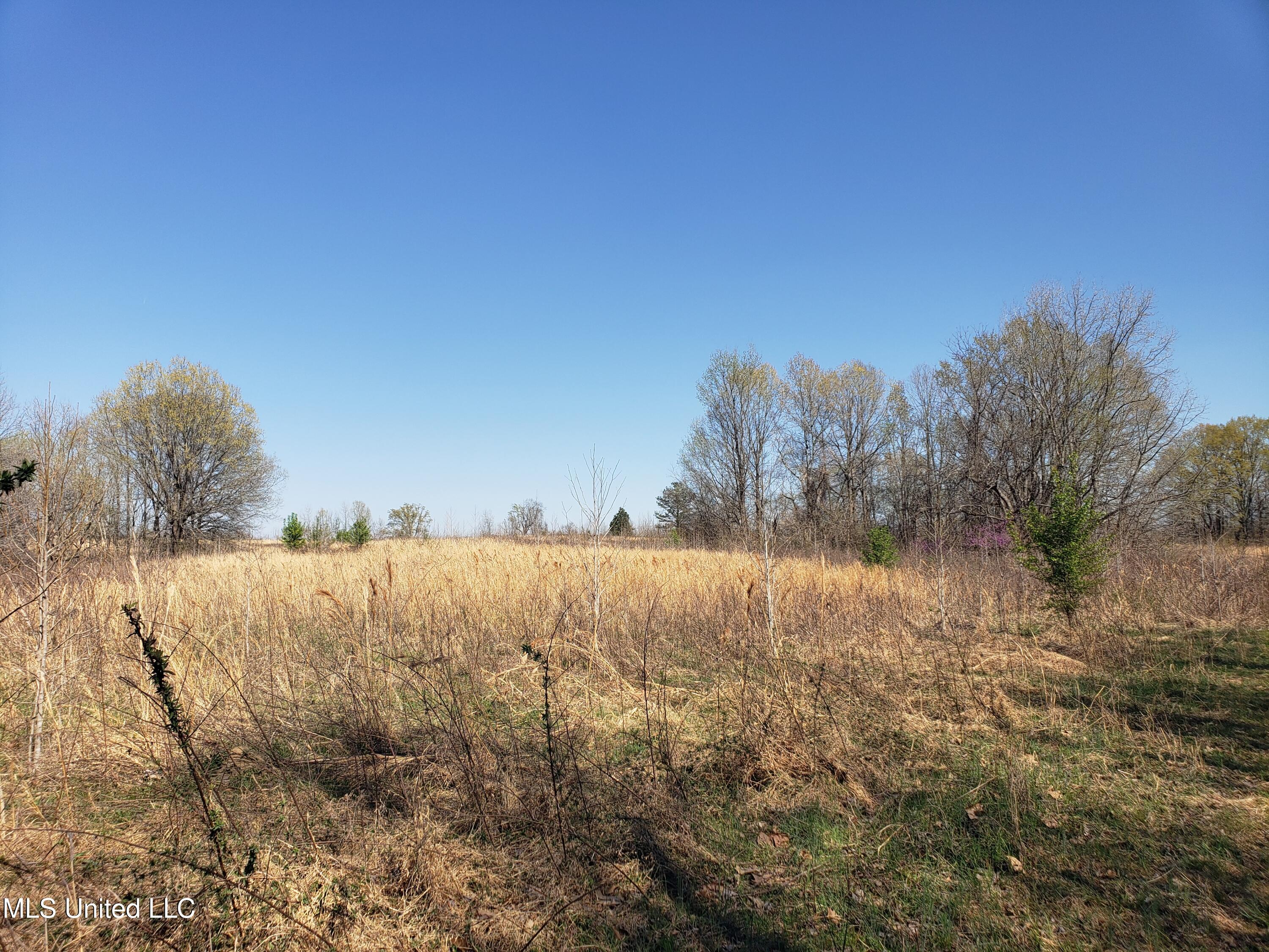Hogfoot Road Senatobia, MS 38668 - Photo 83 of 145 20250326_153036