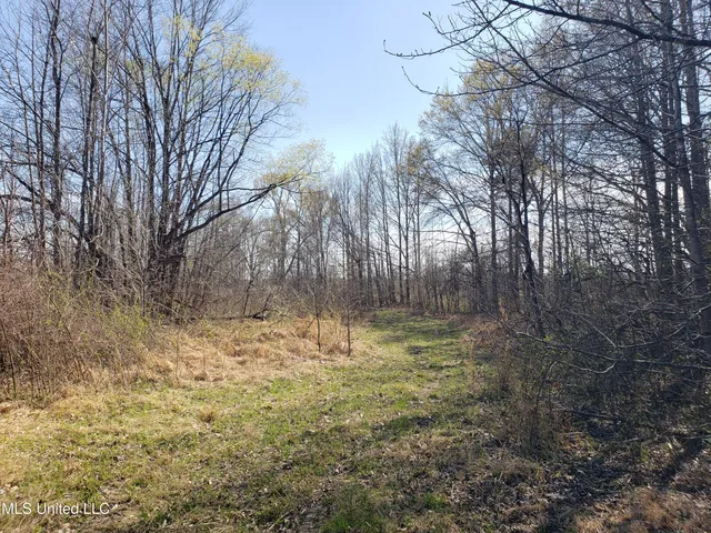 $2,541,000 | Hogfoot Road, Senatobia, MS 38668