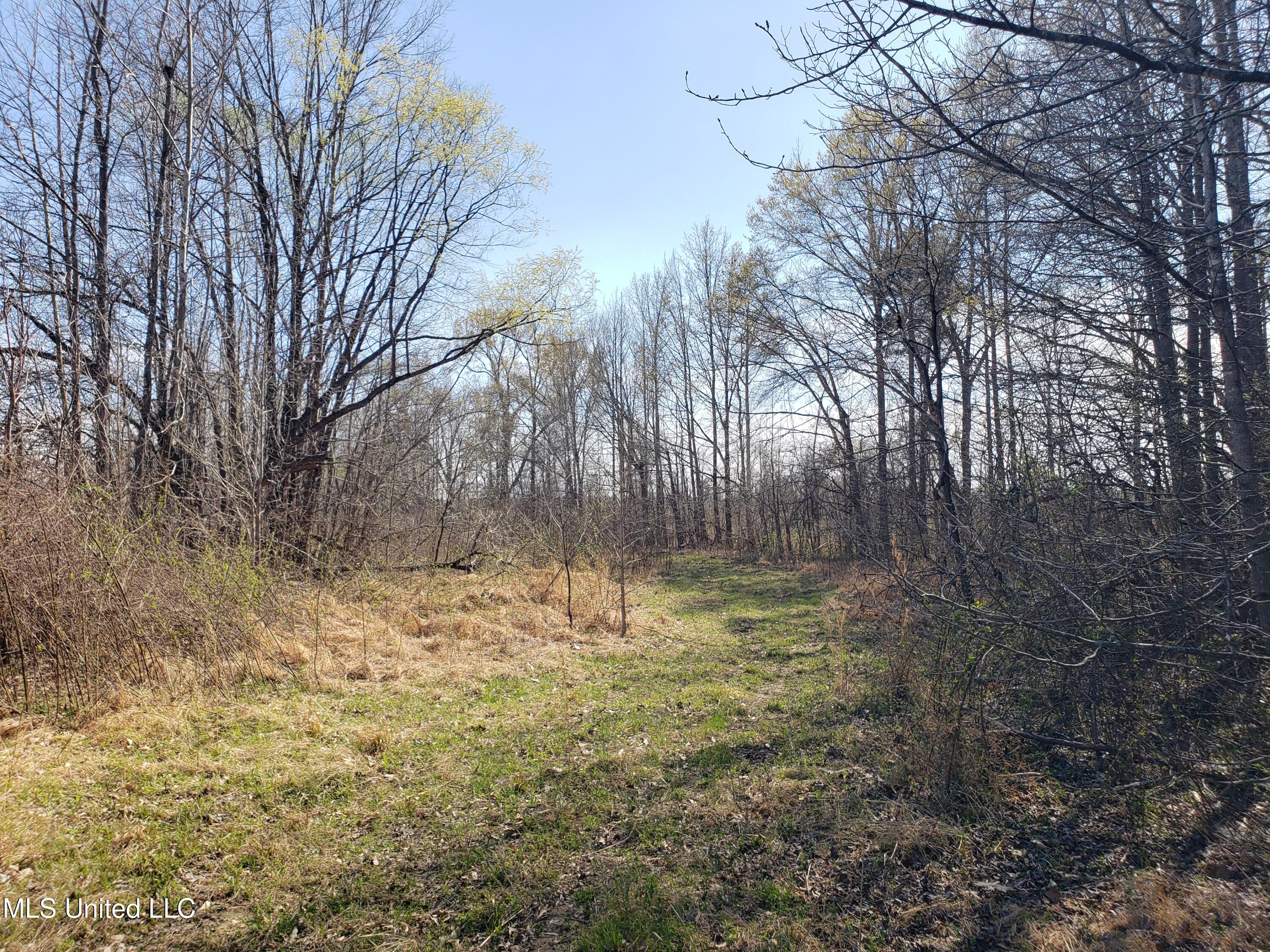 Hogfoot Road Senatobia, MS 38668 - Photo 84 of 145 20250326_153131