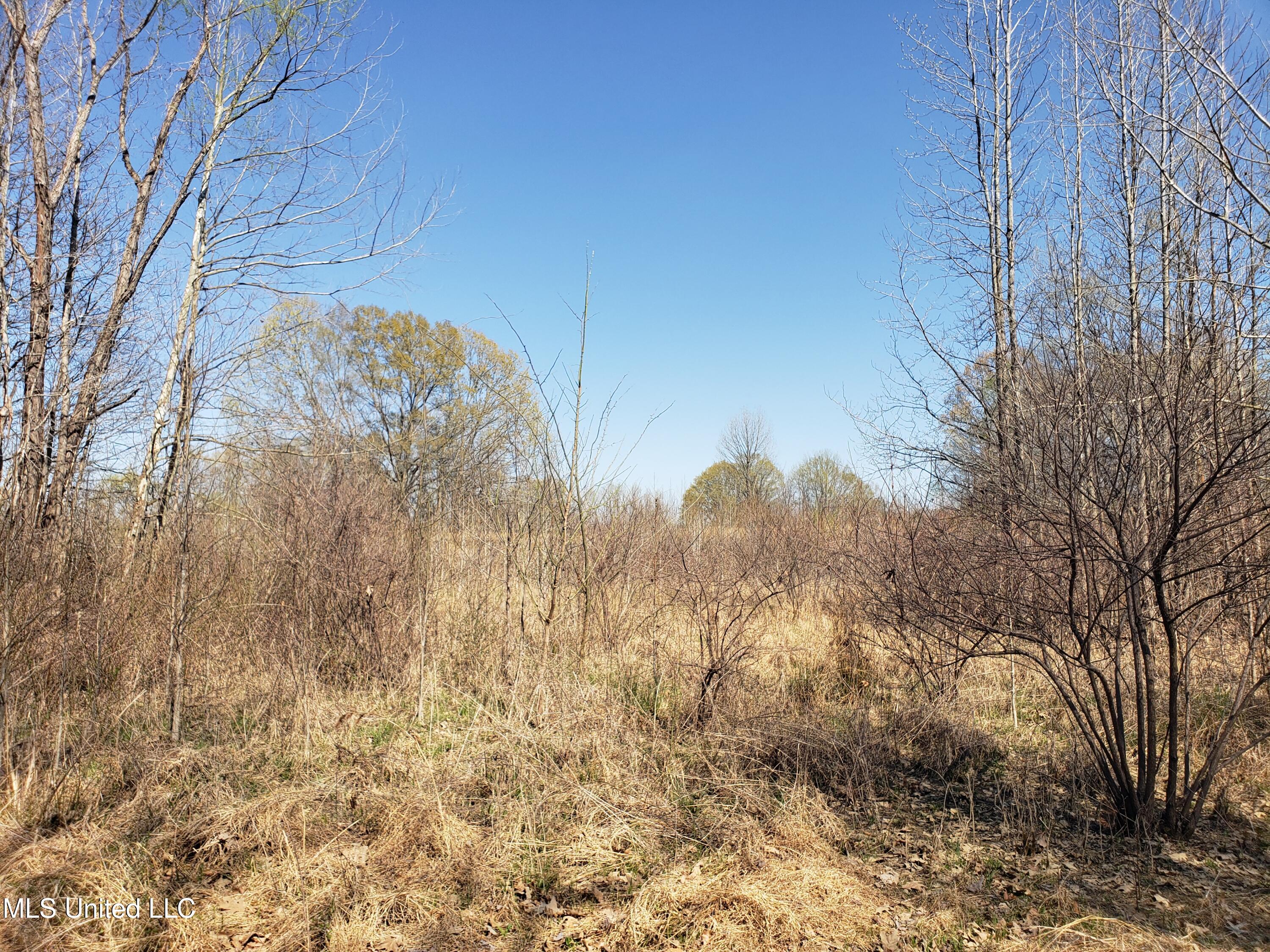 Hogfoot Road Senatobia, MS 38668 - Photo 85 of 145 20250326_153242