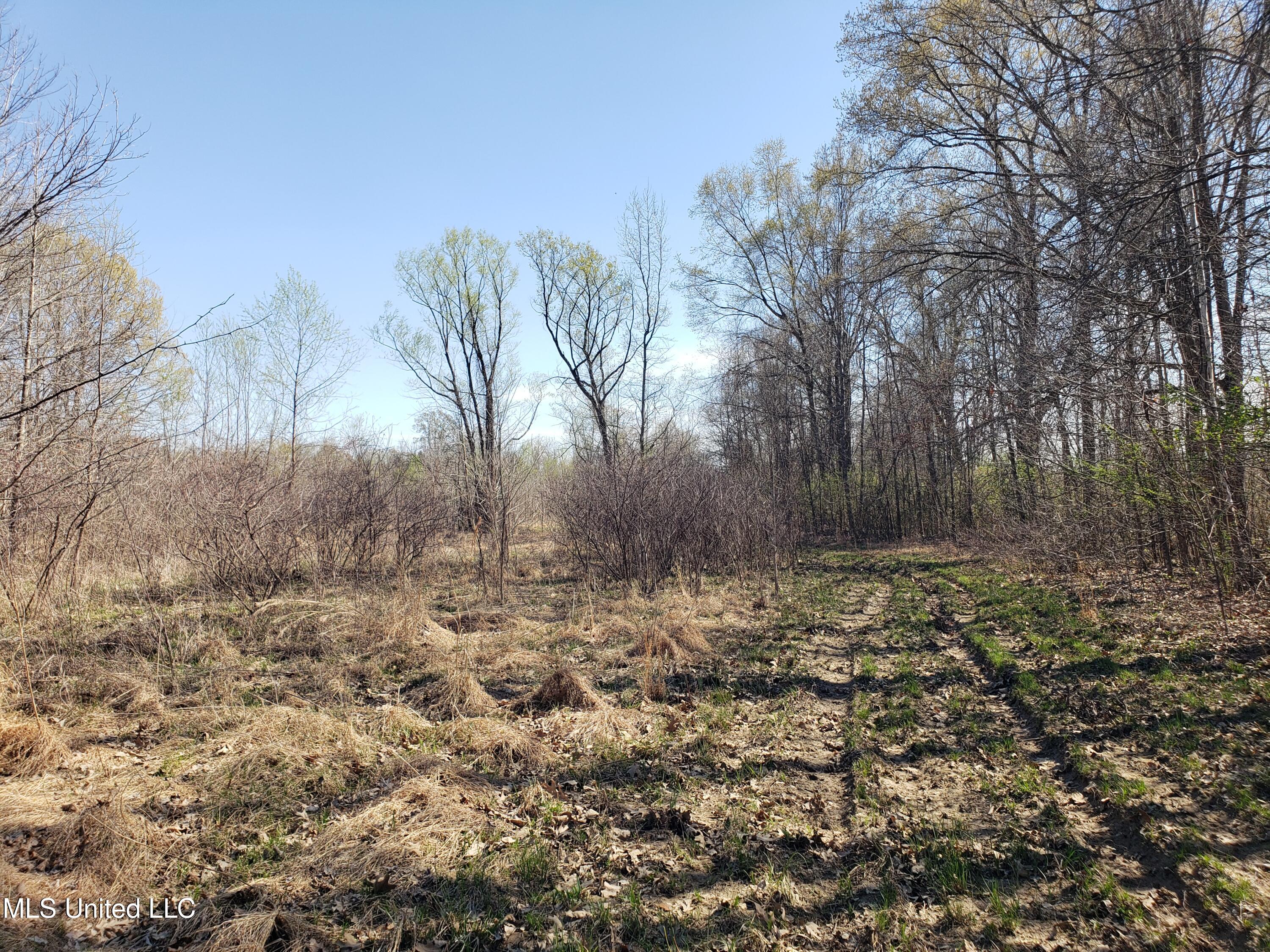 Hogfoot Road Senatobia, MS 38668 - Photo 86 of 145 20250326_153245