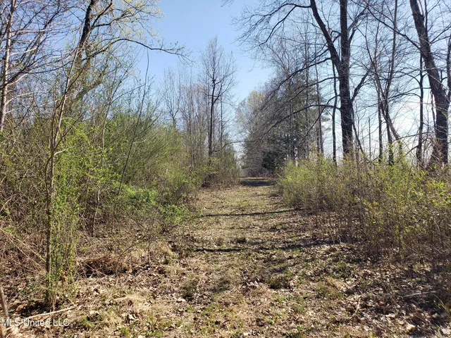 $2,541,000 | Hogfoot Road, Senatobia, MS 38668