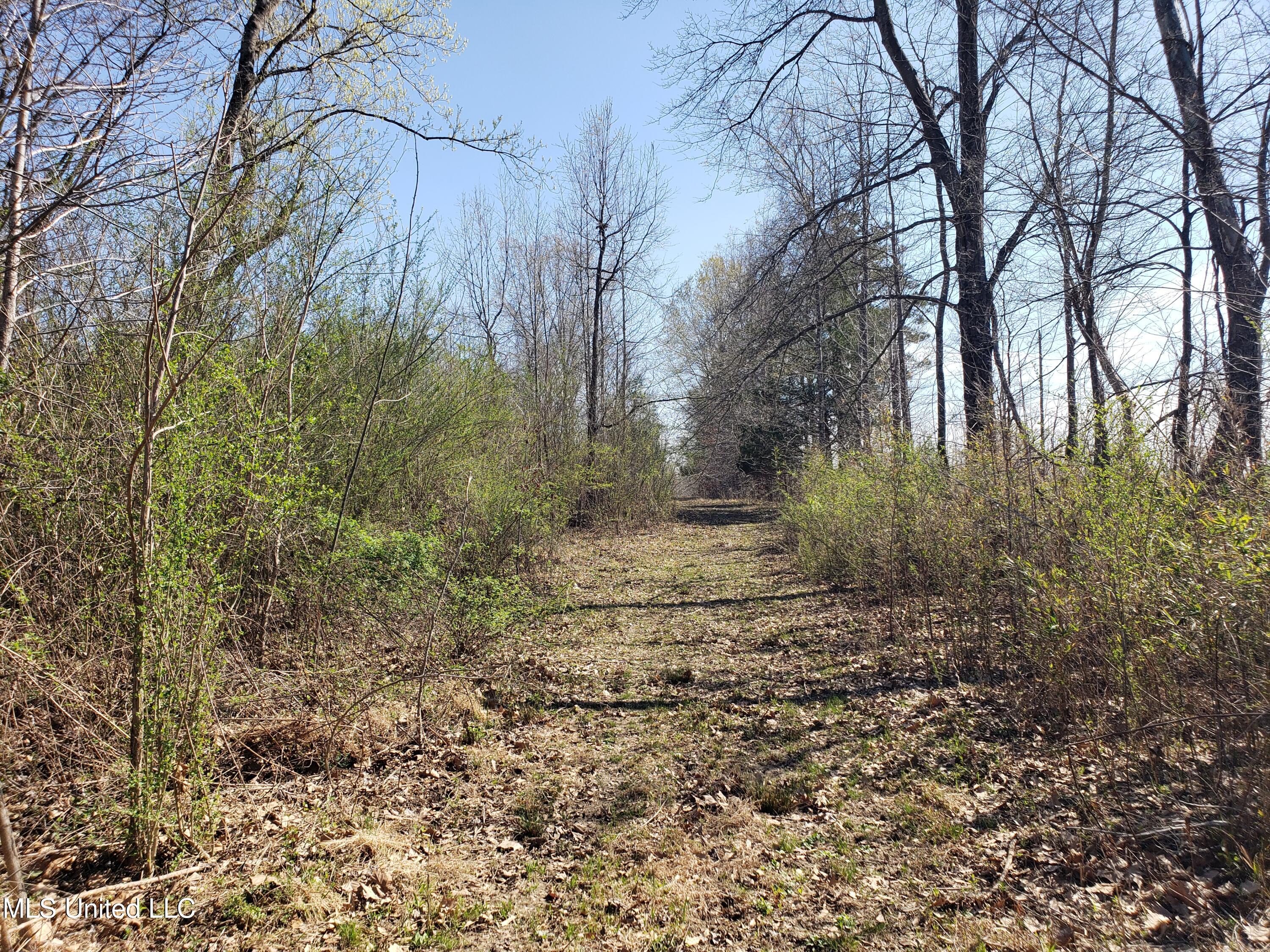 Hogfoot Road Senatobia, MS 38668 - Photo 87 of 145 20250326_153405