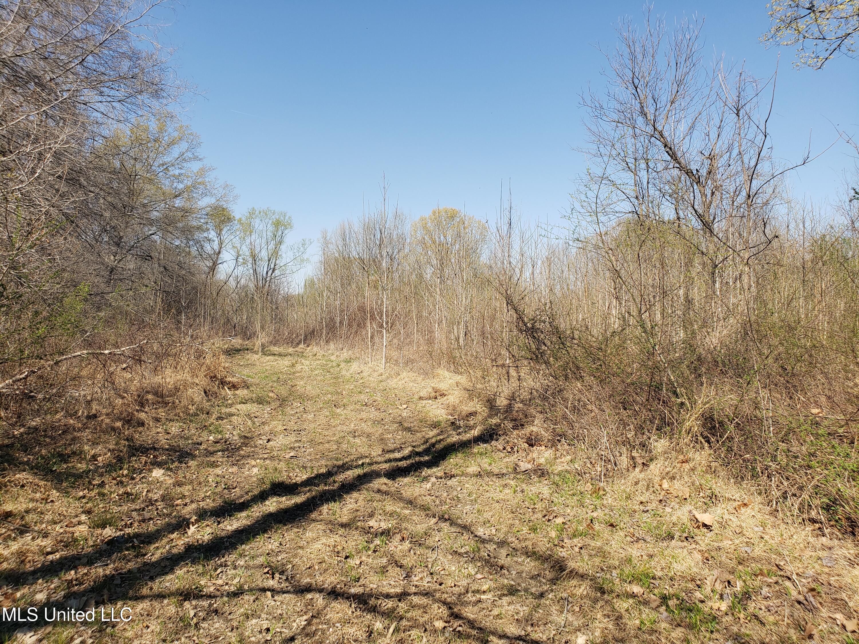 Hogfoot Road Senatobia, MS 38668 - Photo 88 of 145 20250326_153408