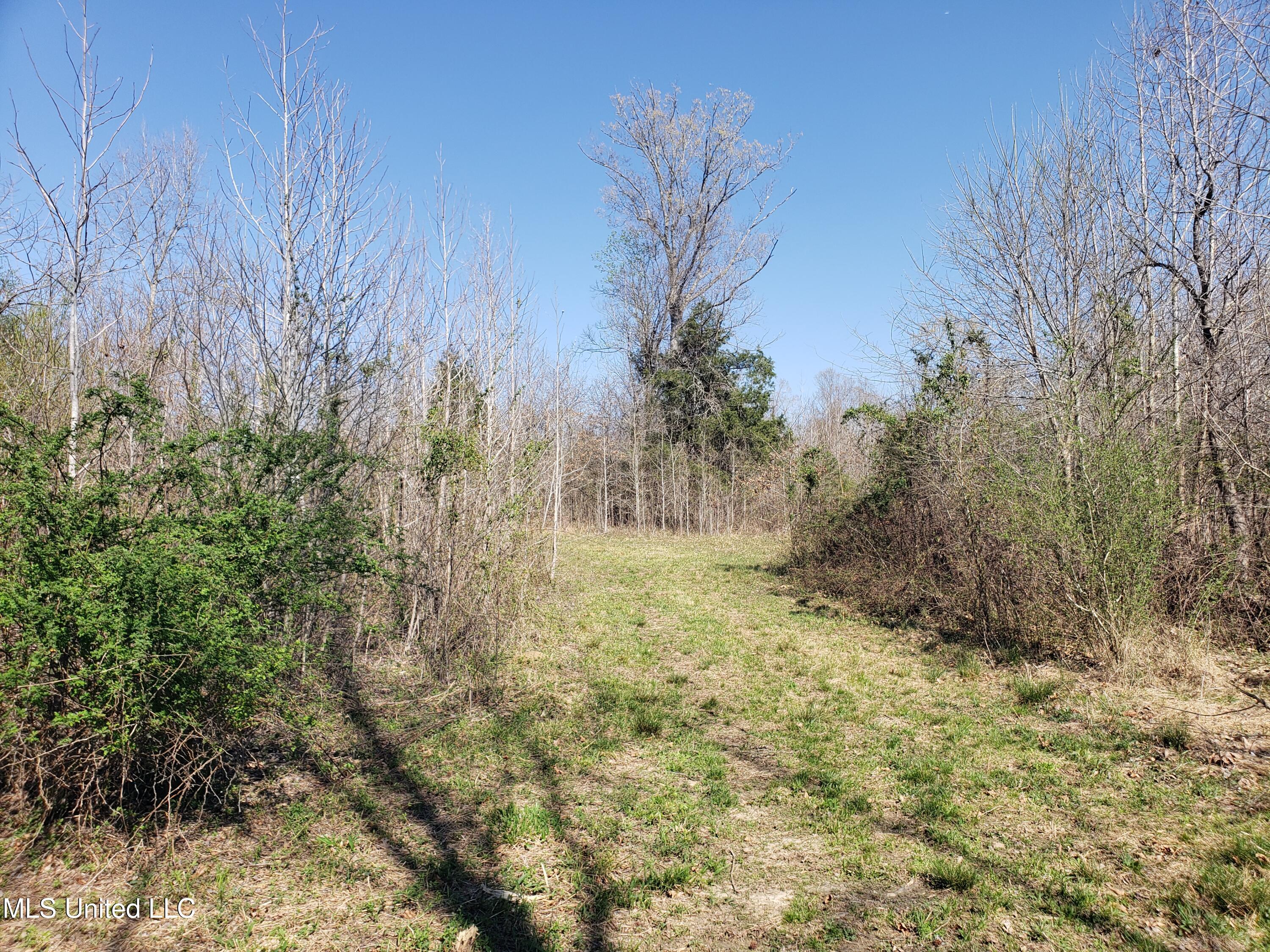 Hogfoot Road Senatobia, MS 38668 - Photo 89 of 145 20250326_153544