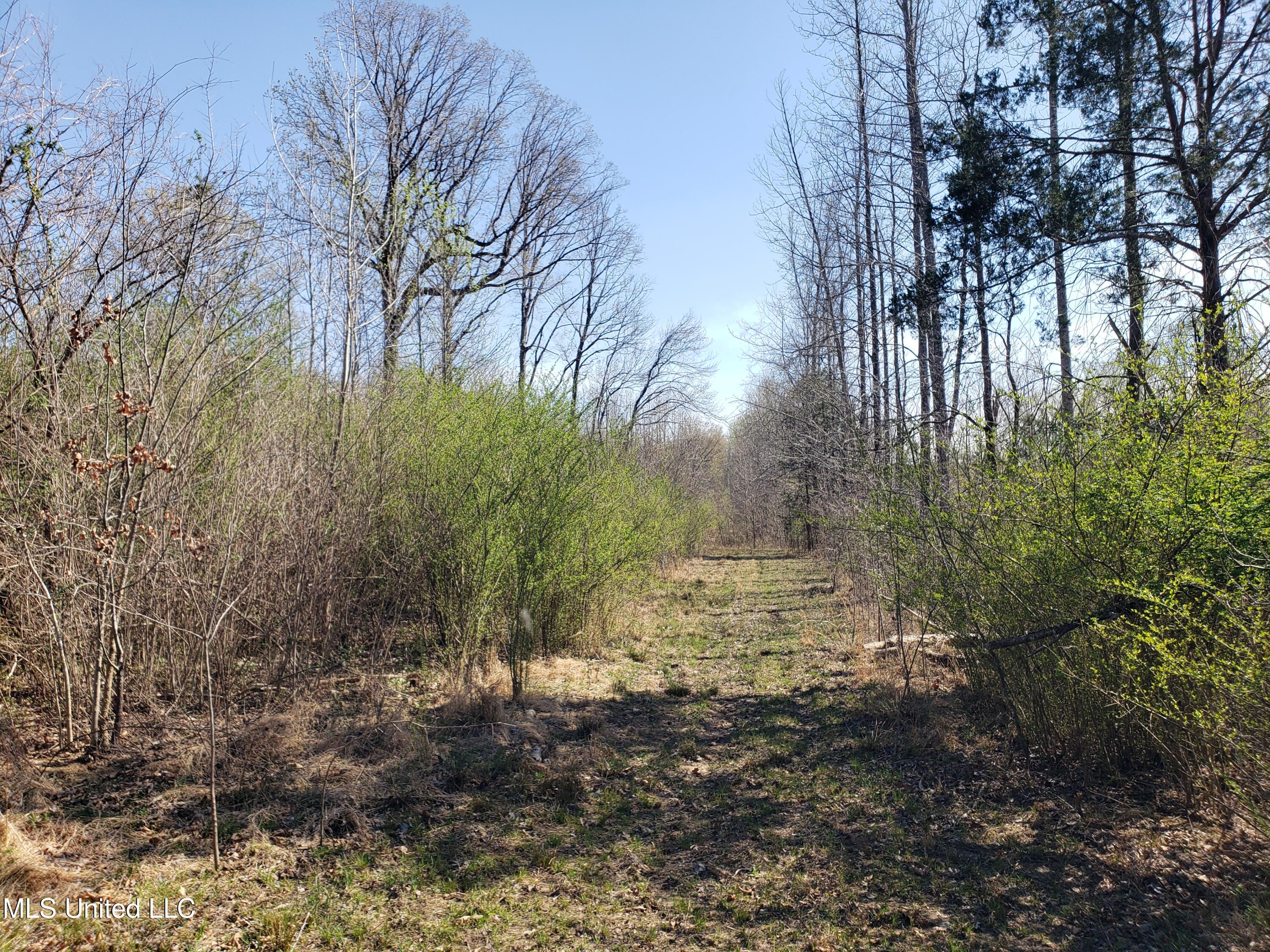 Hogfoot Road Senatobia, MS 38668 - Photo 90 of 145 20250326_153547