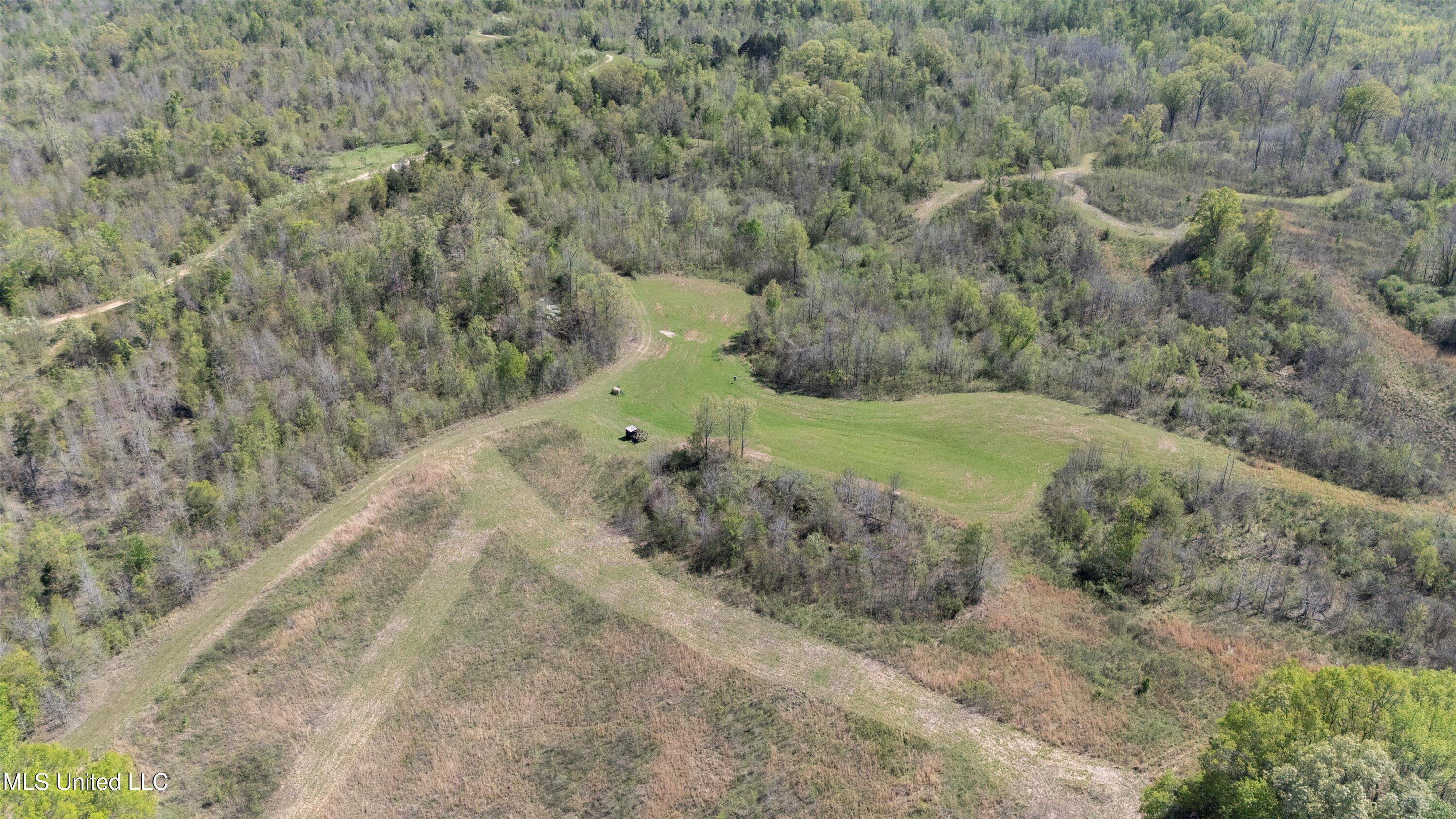 Hogfoot Road Senatobia, MS 38668 - Photo 9 of 145 09-DJI_20250407150838_0090_D