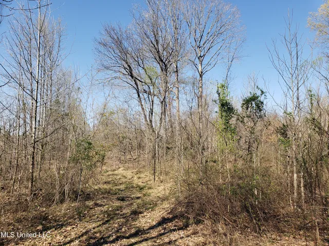 $2,541,000 | Hogfoot Road, Senatobia, MS 38668